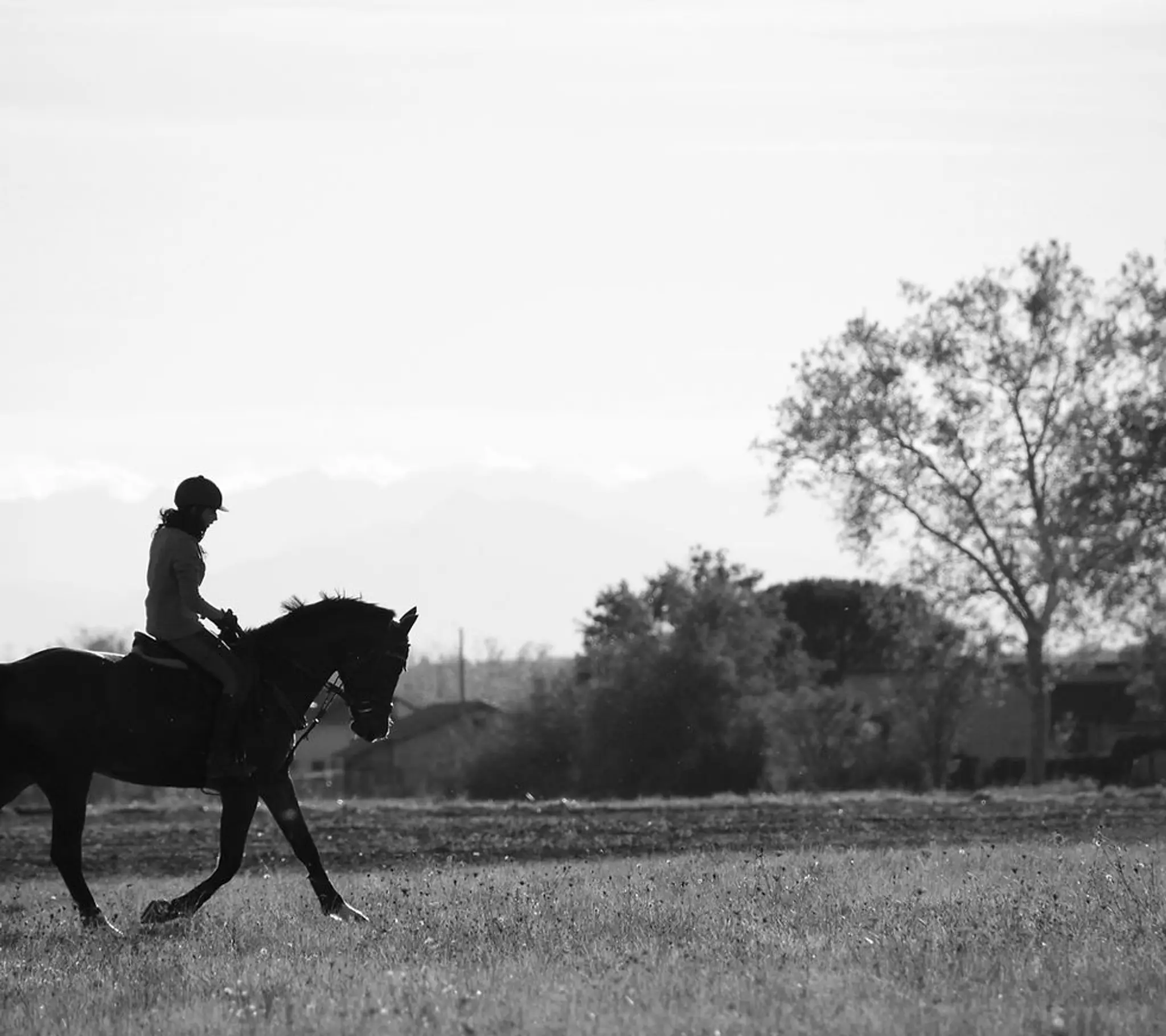 Ecuries de la brossette