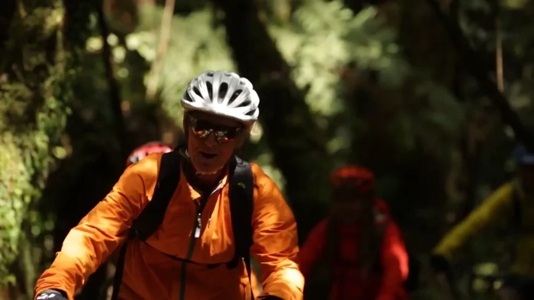 Timber Trail Shuttle & Bike Hire