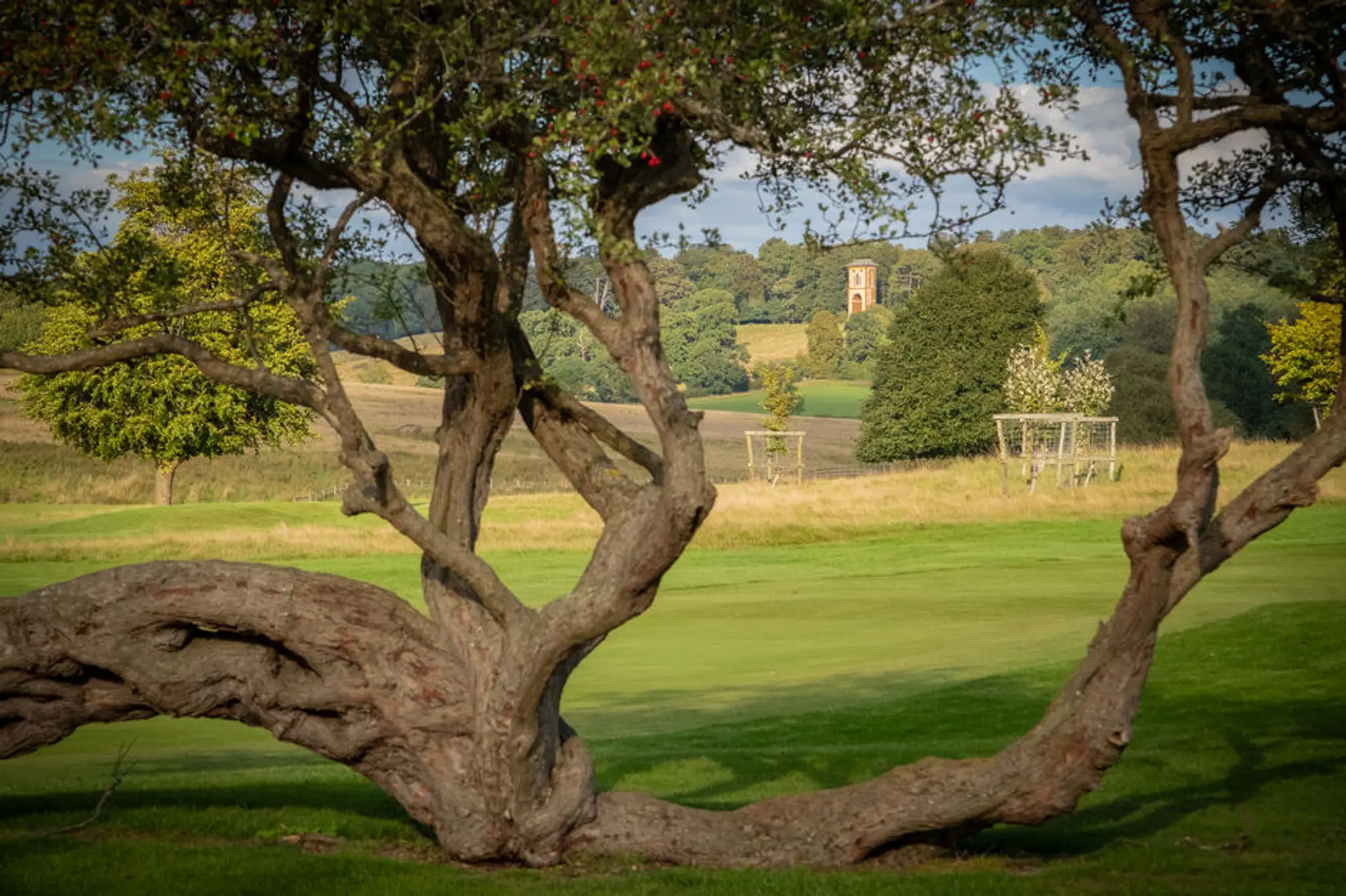 Belton Park Golf Club