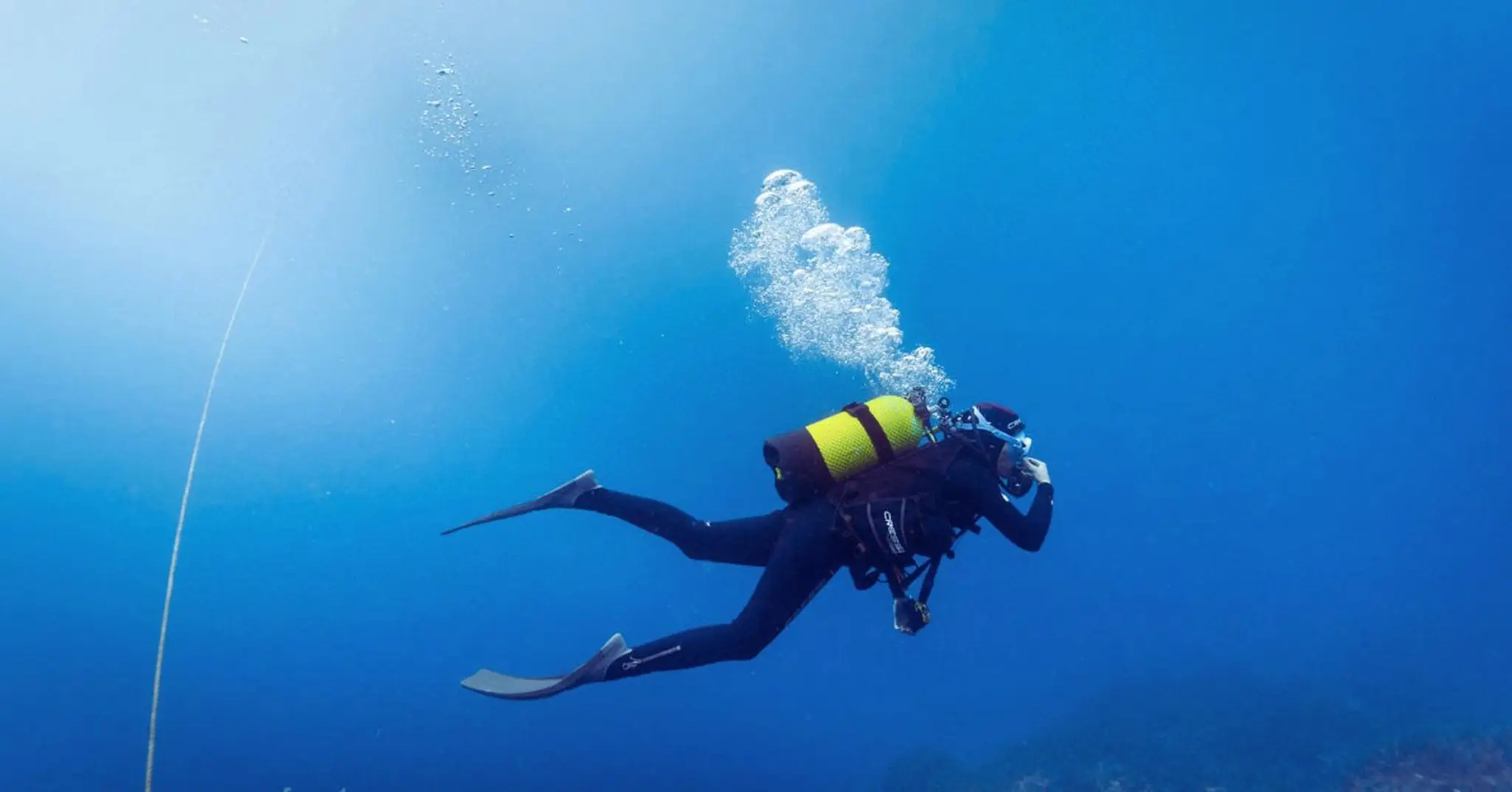 BeFreeToDive