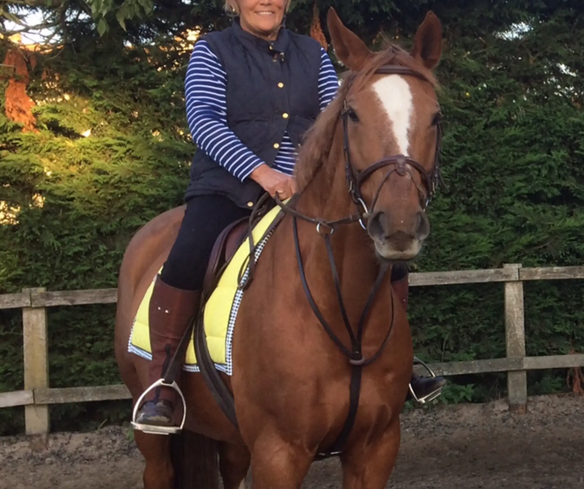 Copdock Riding Centre