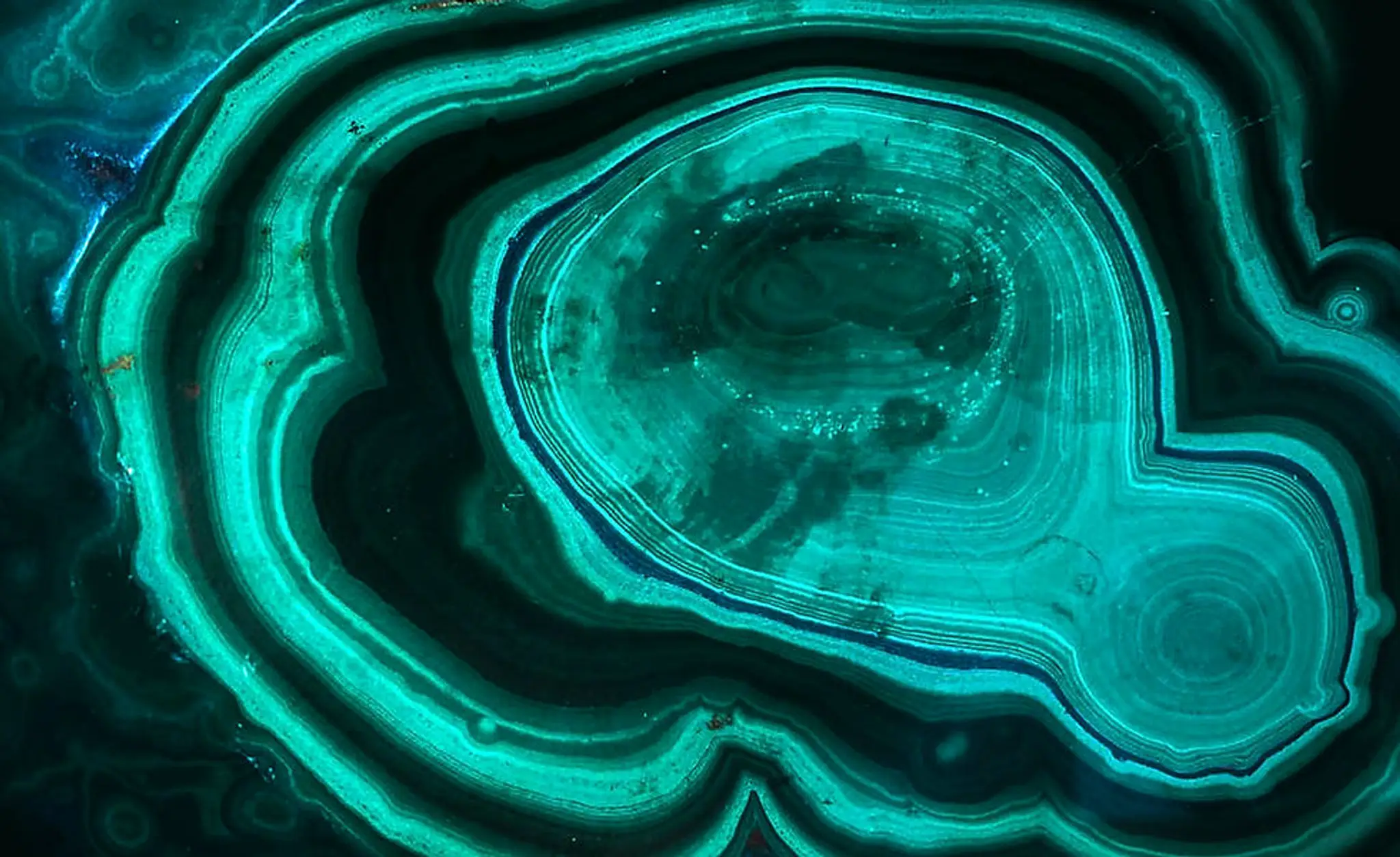 Global Tribe Crystals, Bookshop and Coffee shop