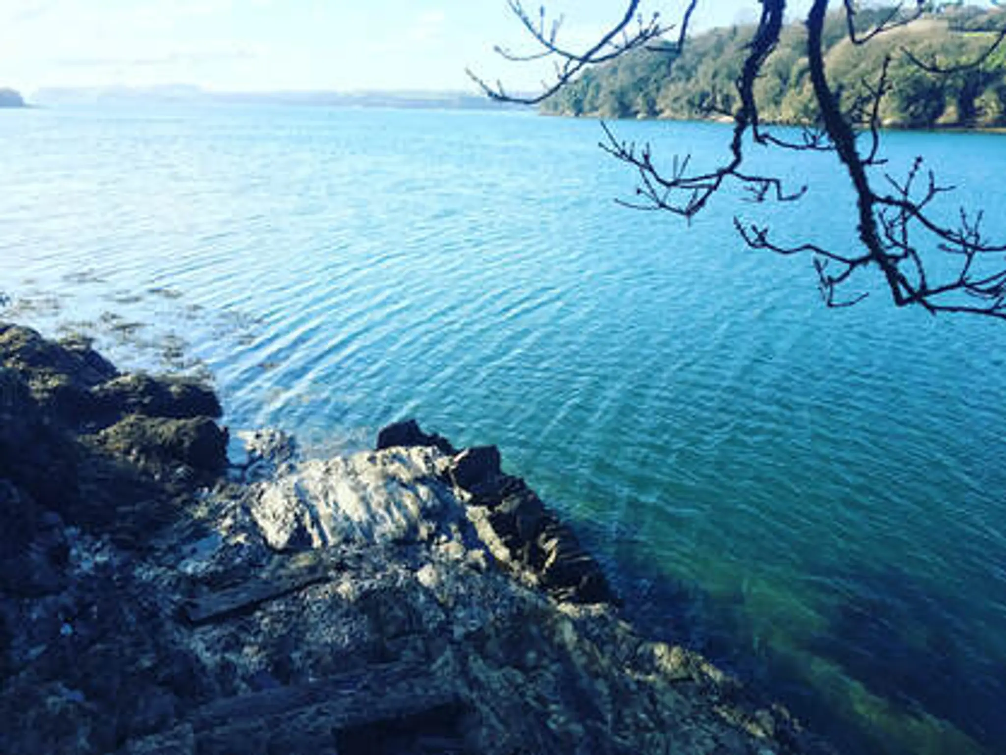 Yoga Teacher Training Cornwall