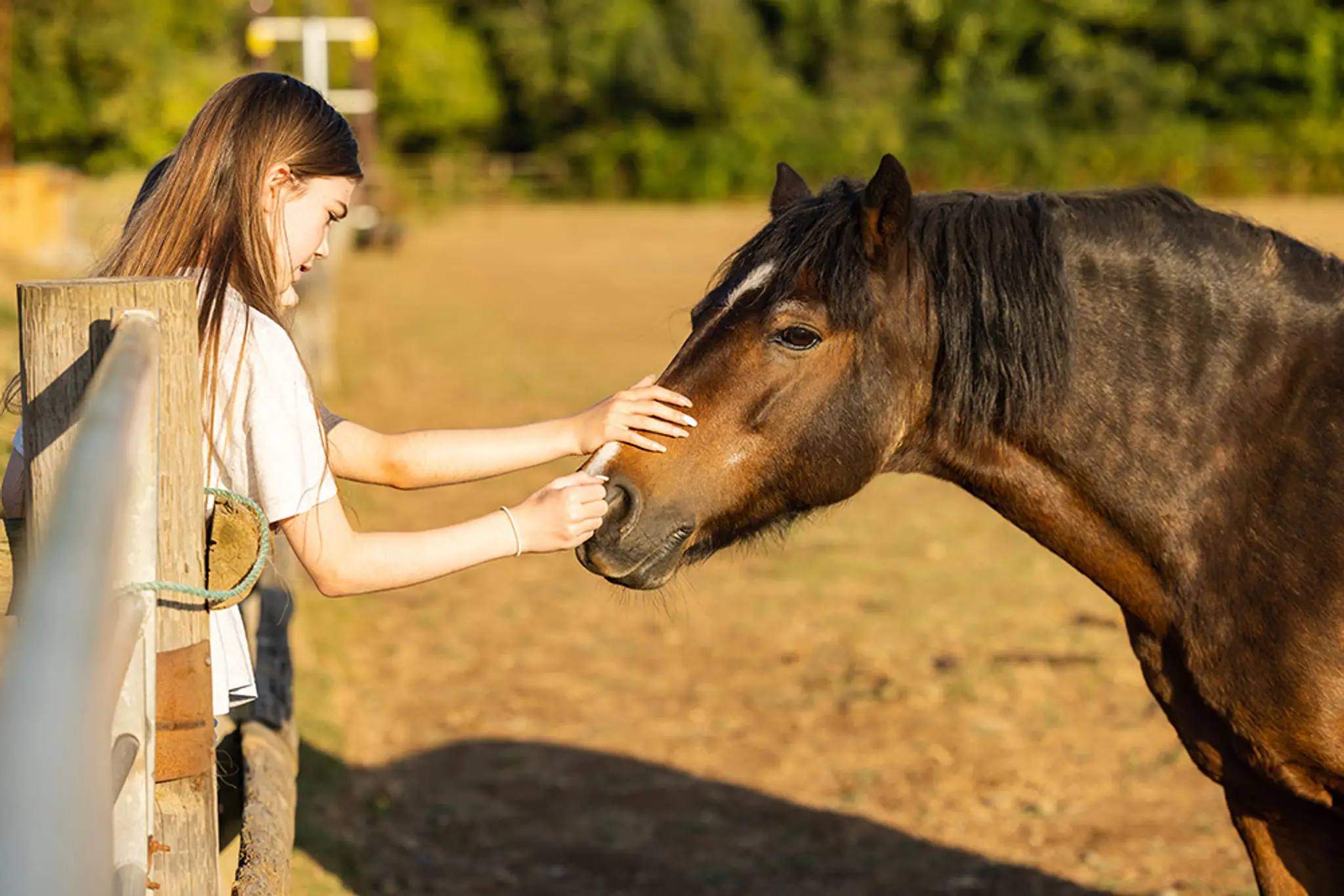Oaklands Riding School
