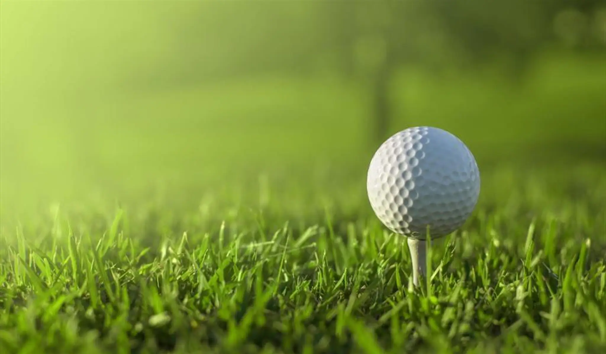 Palewell Common Golf Course