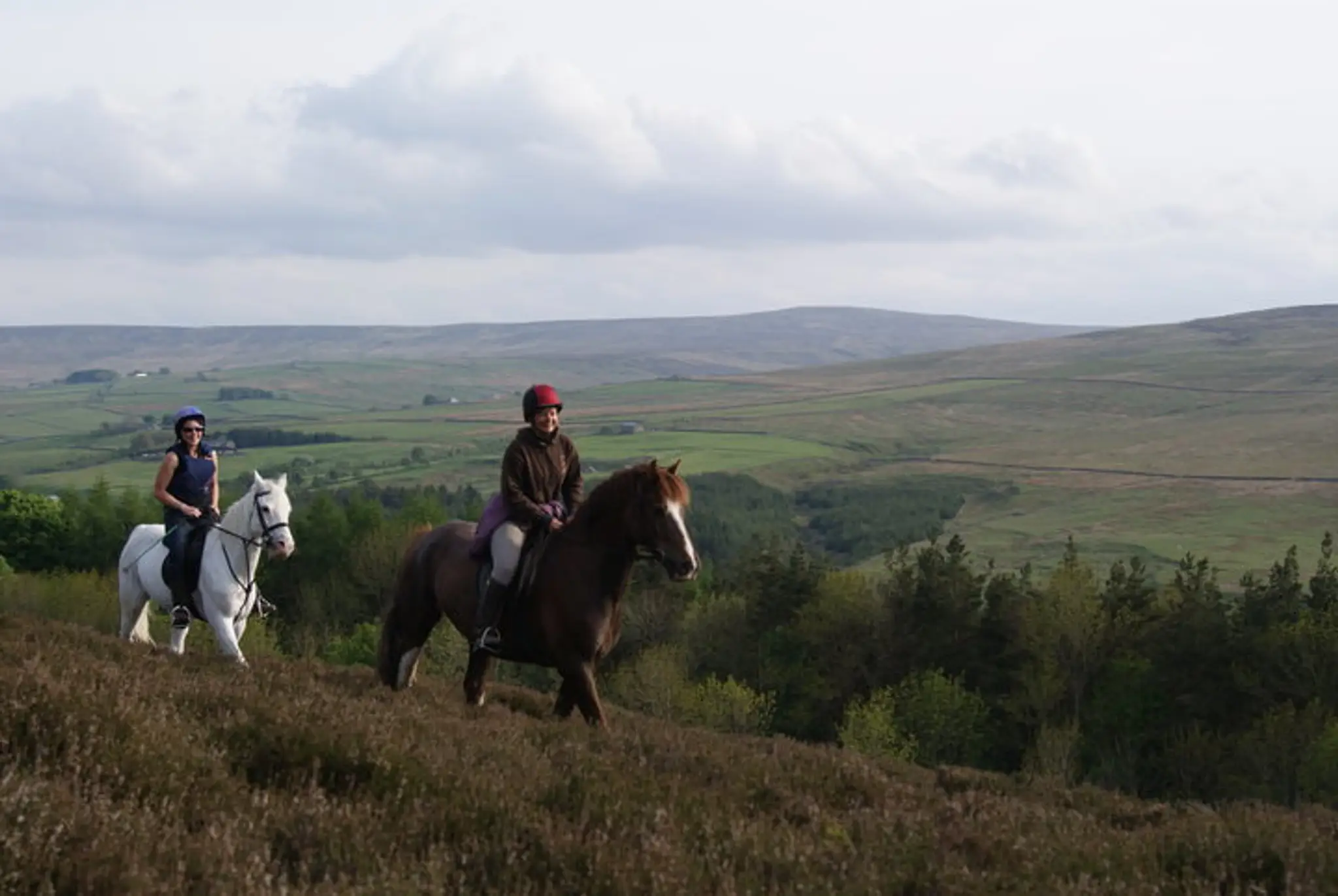 Sinderhope Pony Trekking Centre