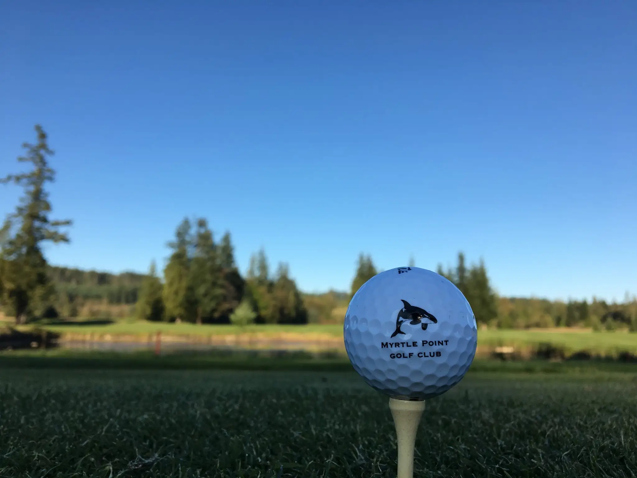 Myrtle Point Golf Club