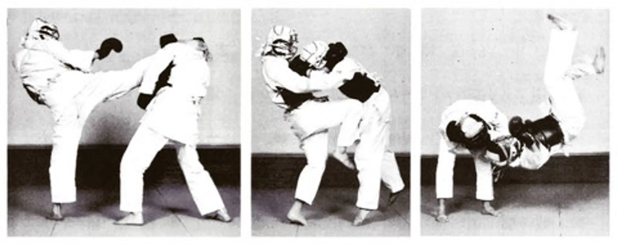 NIPPON KEMPO MARSEILLE