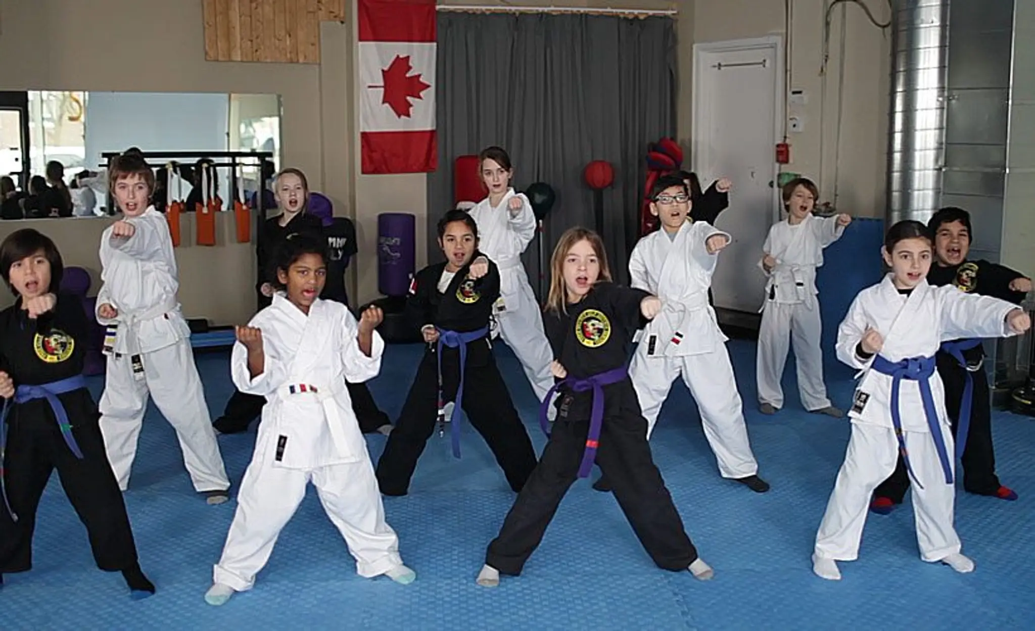 Villari's Self Defence Centres