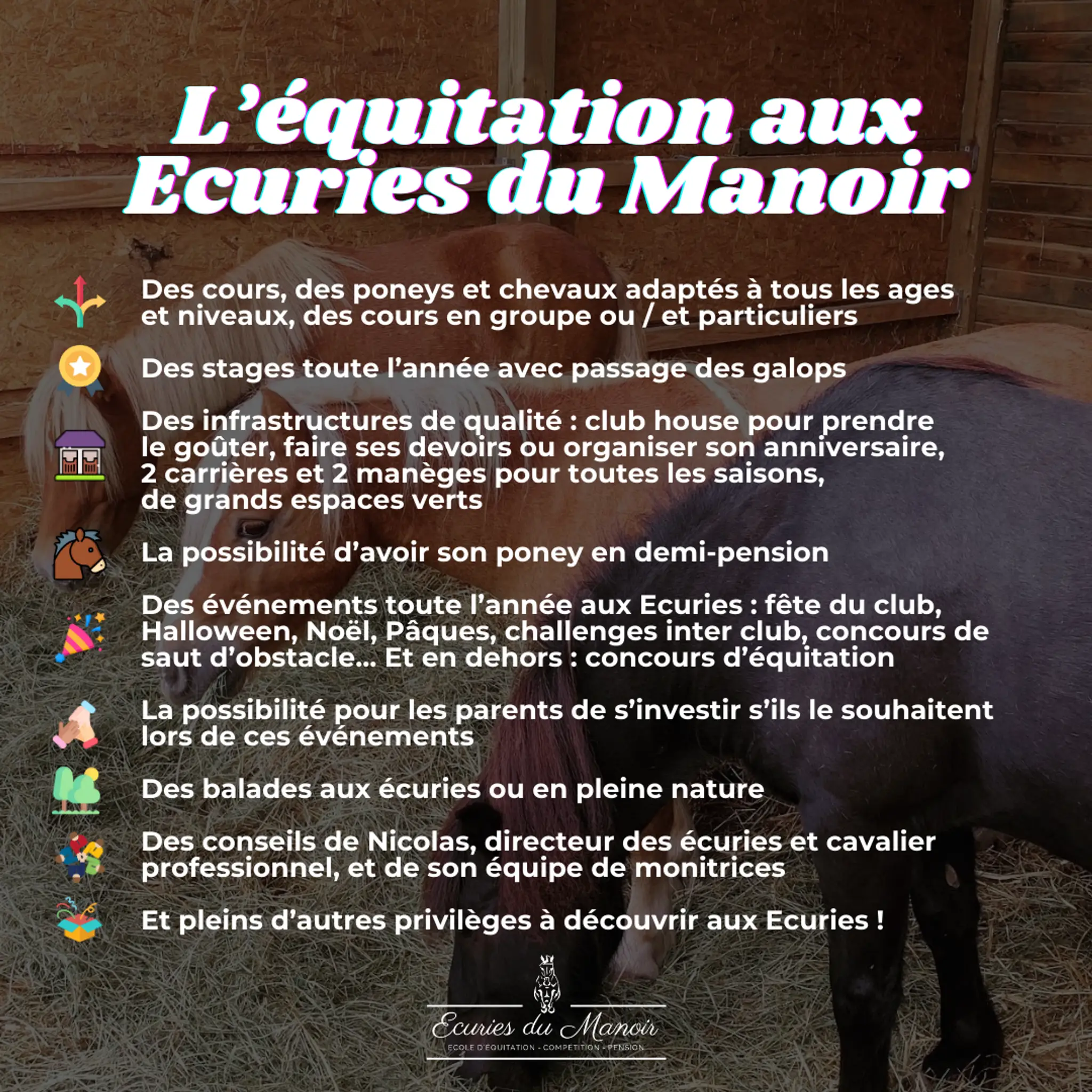 Stalls Du Manoir Brié-Et-Angonnes