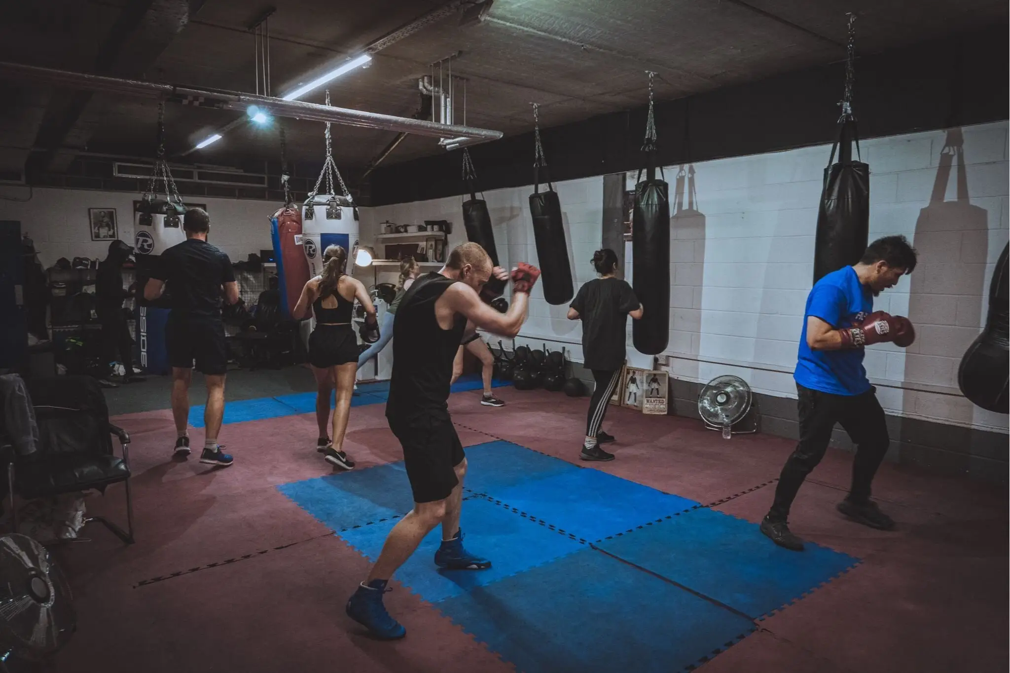McKenzie's Online Boxing Fitness & Personal Boxing Club