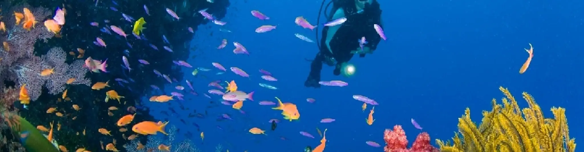 Aquarius Sub Aqua Club