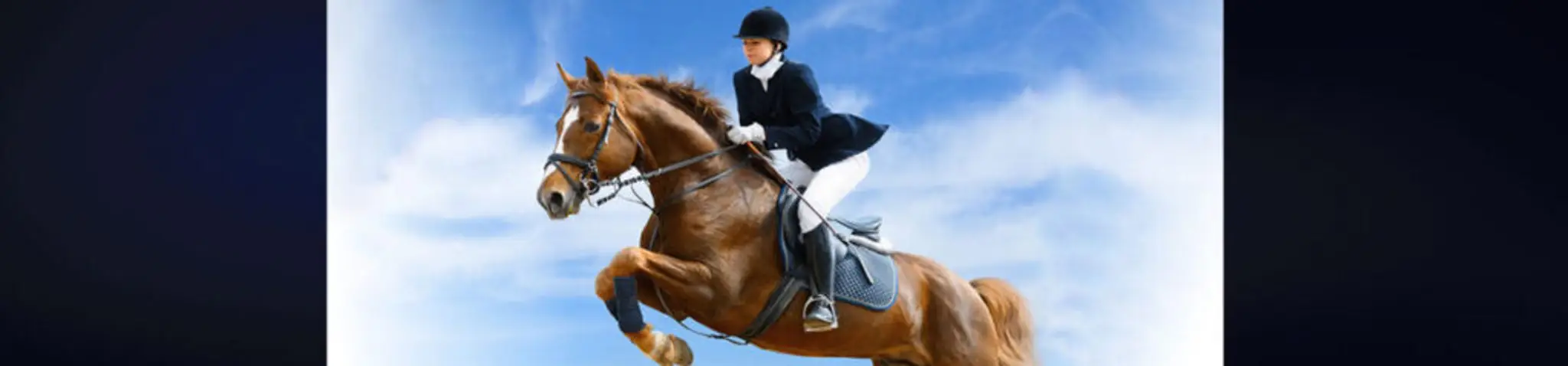 Hayden Equestrian Centre