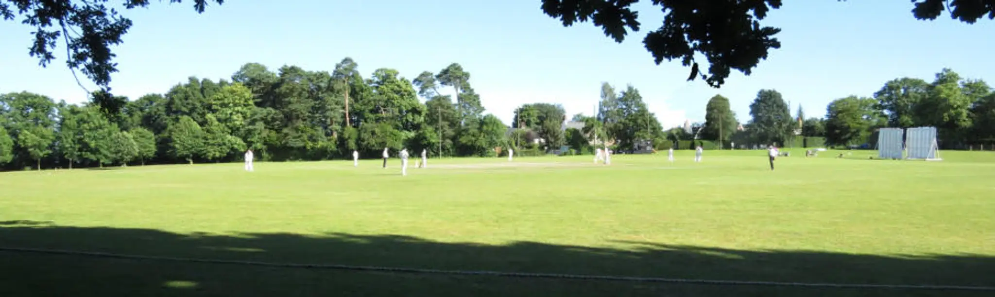 Ansty Cricket Club