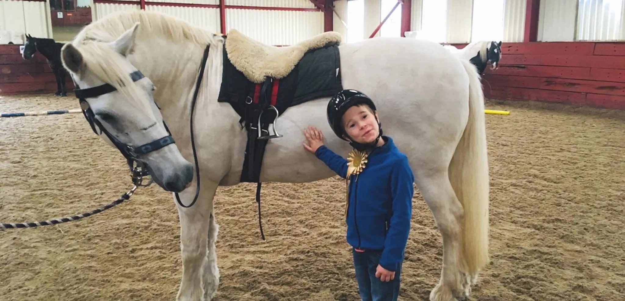 Drum Riding For The Disabled Centre