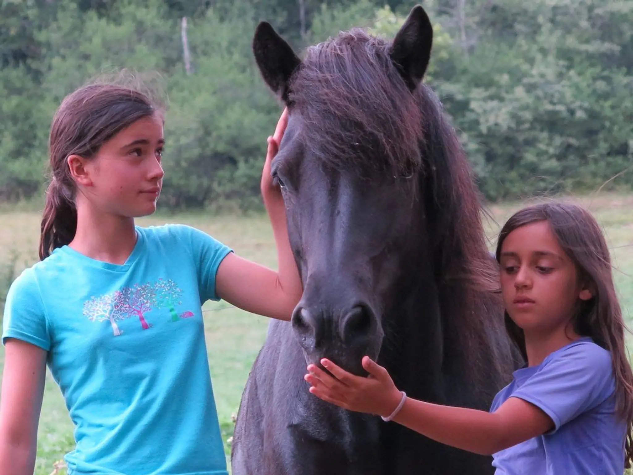Gabioud Emmanuelle Vianaturae