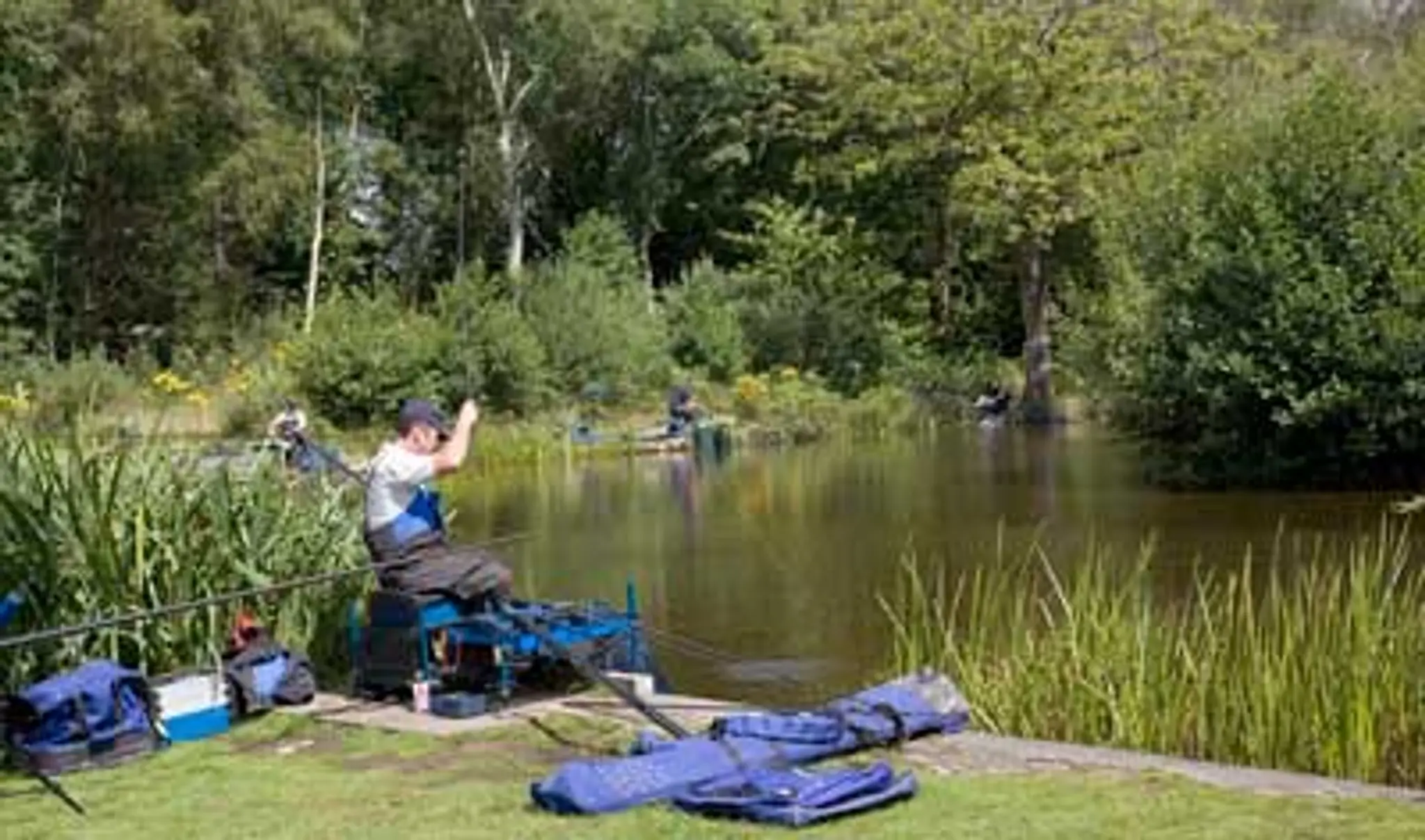 Bron Eifion Fishing Lakes & Lodges