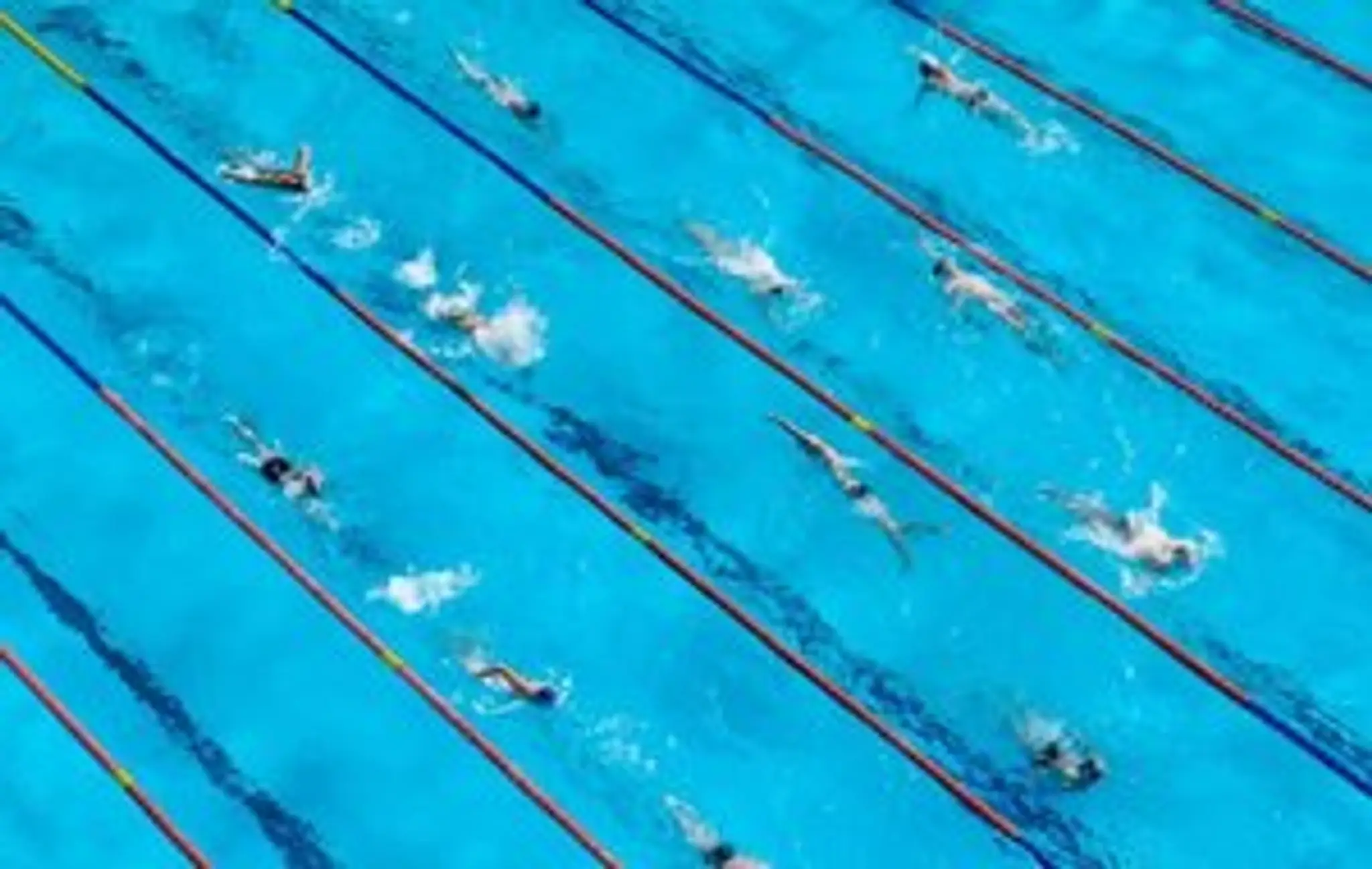 Vitrolles Sport Natation