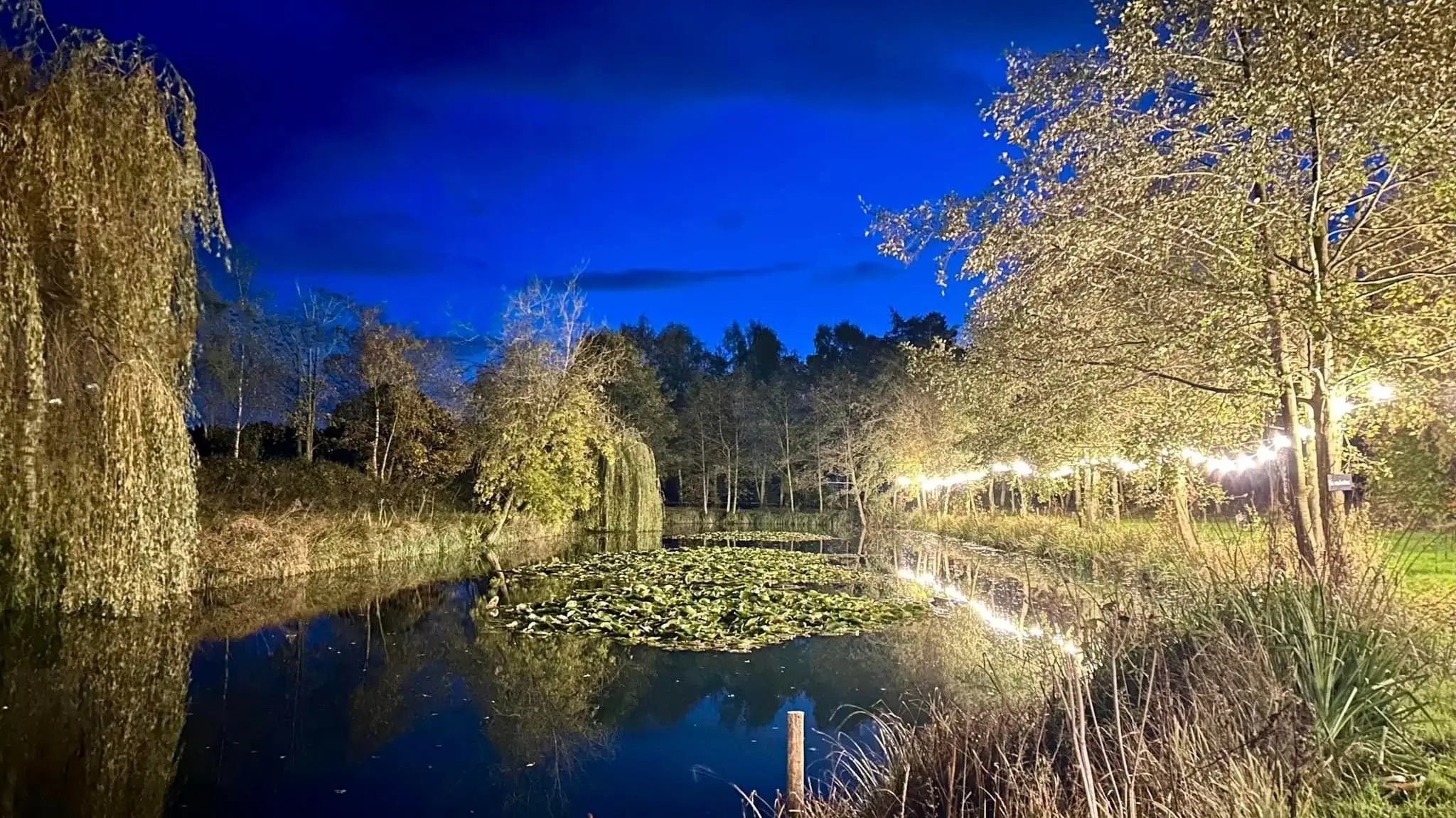 Pool Bridge Farm - Wild Swimming