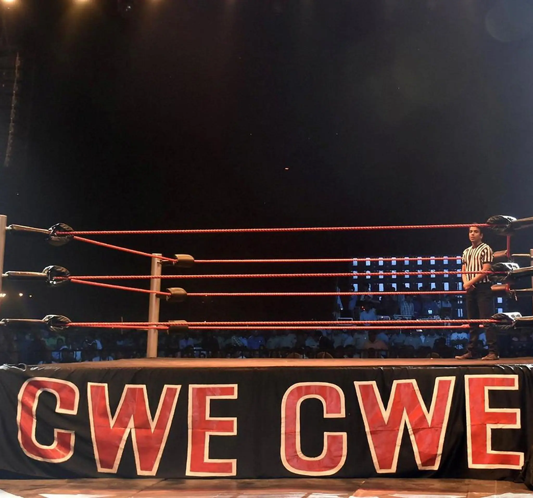 Continental Wrestling Entertainment Pvt. Ltd