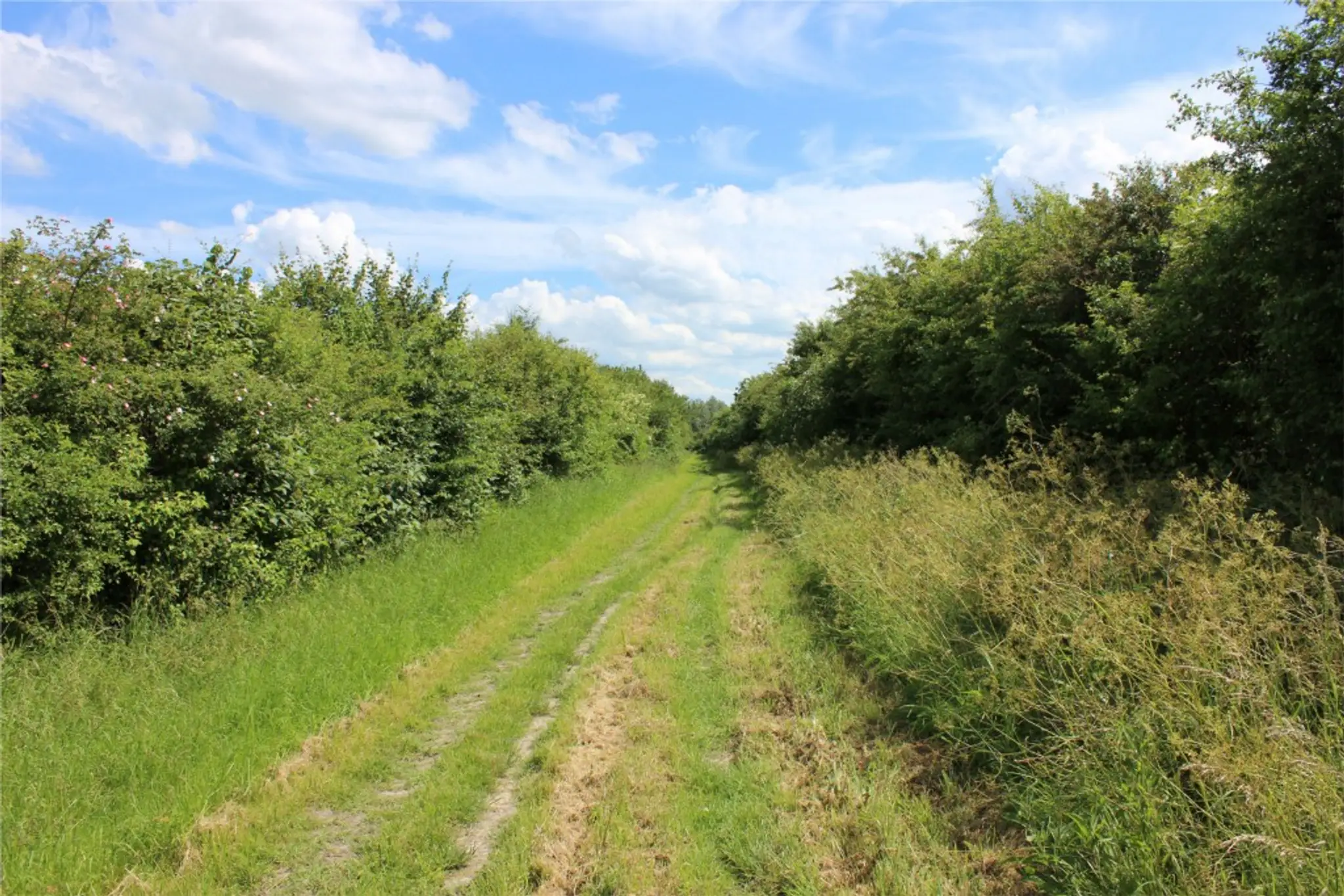 Slade Farm Equestrian Services