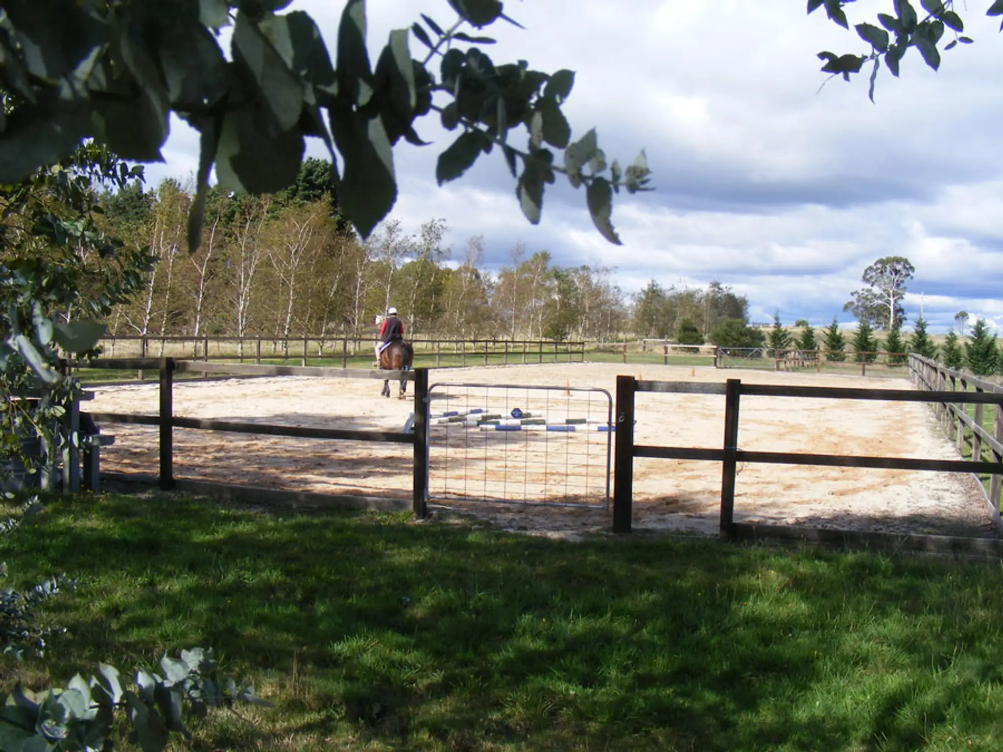 Arundel Equestrian