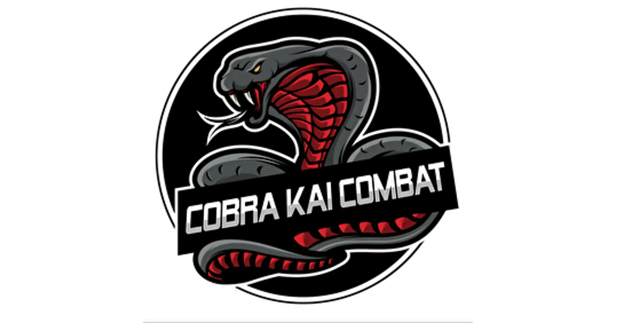 Cobra Kaï Combat