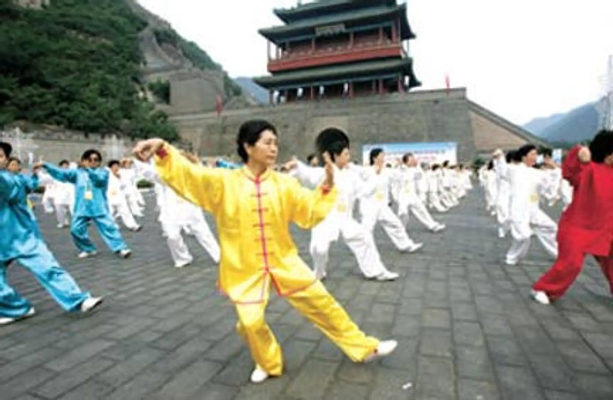 WUSHU TAO COACHING SPORTIF Coach sportif