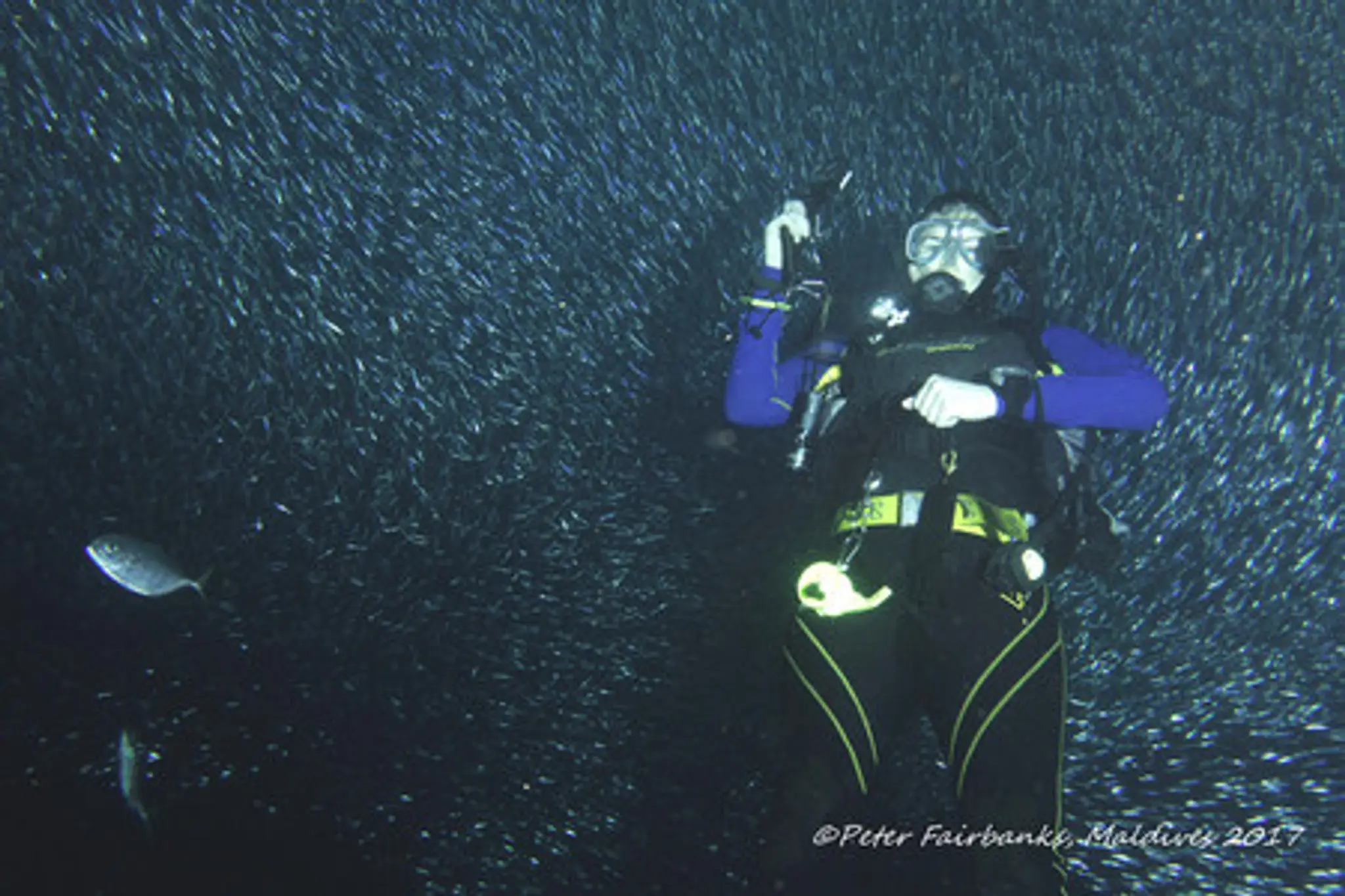 Portmarnock Sub-Aqua Club
