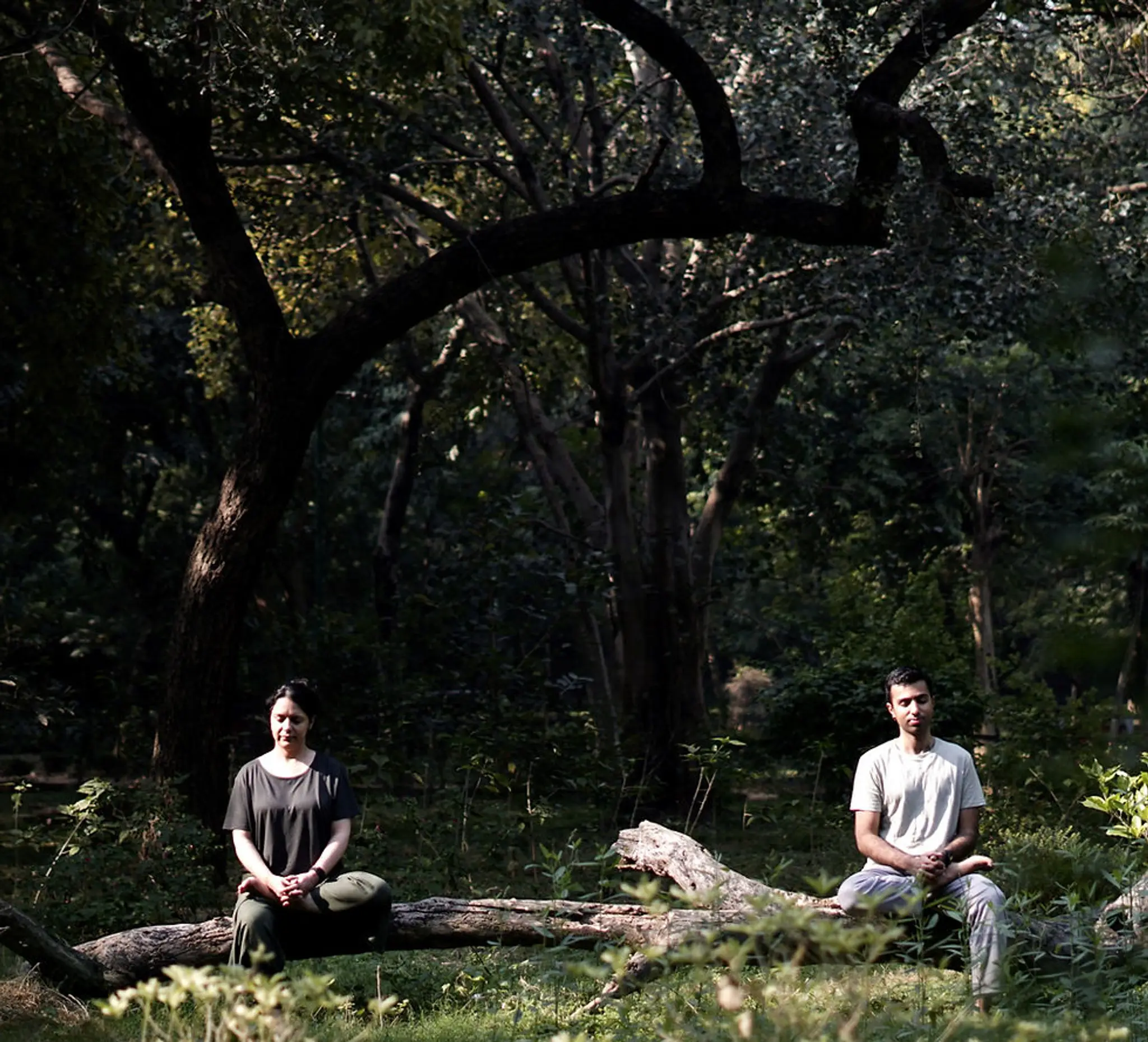 Bharat Yogavidya Kendra