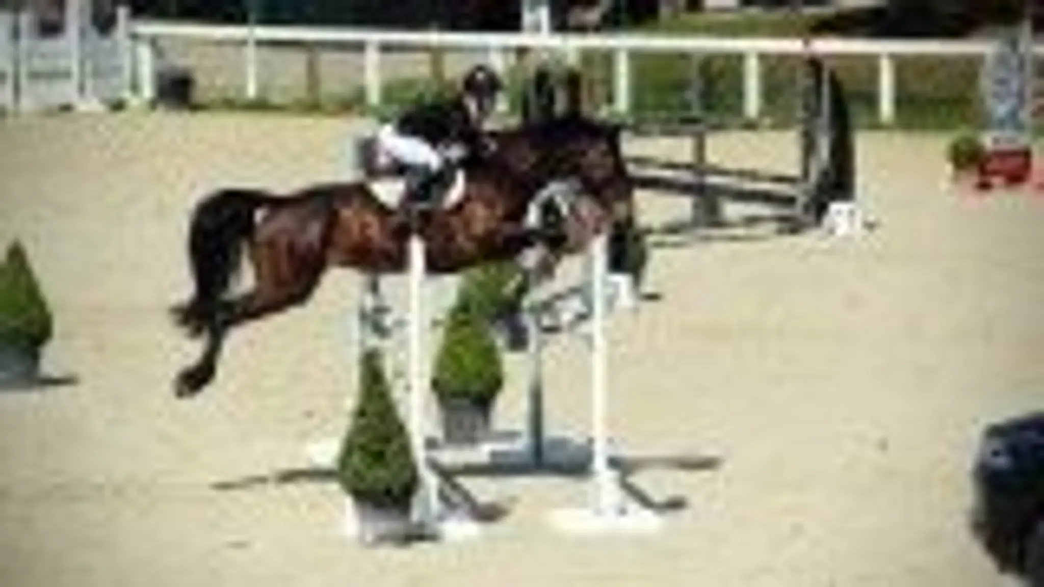 Equestrian Center -