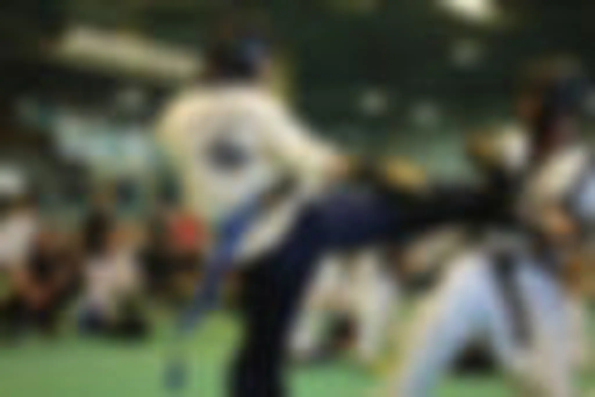 Allan Lusk TaeKwonDo