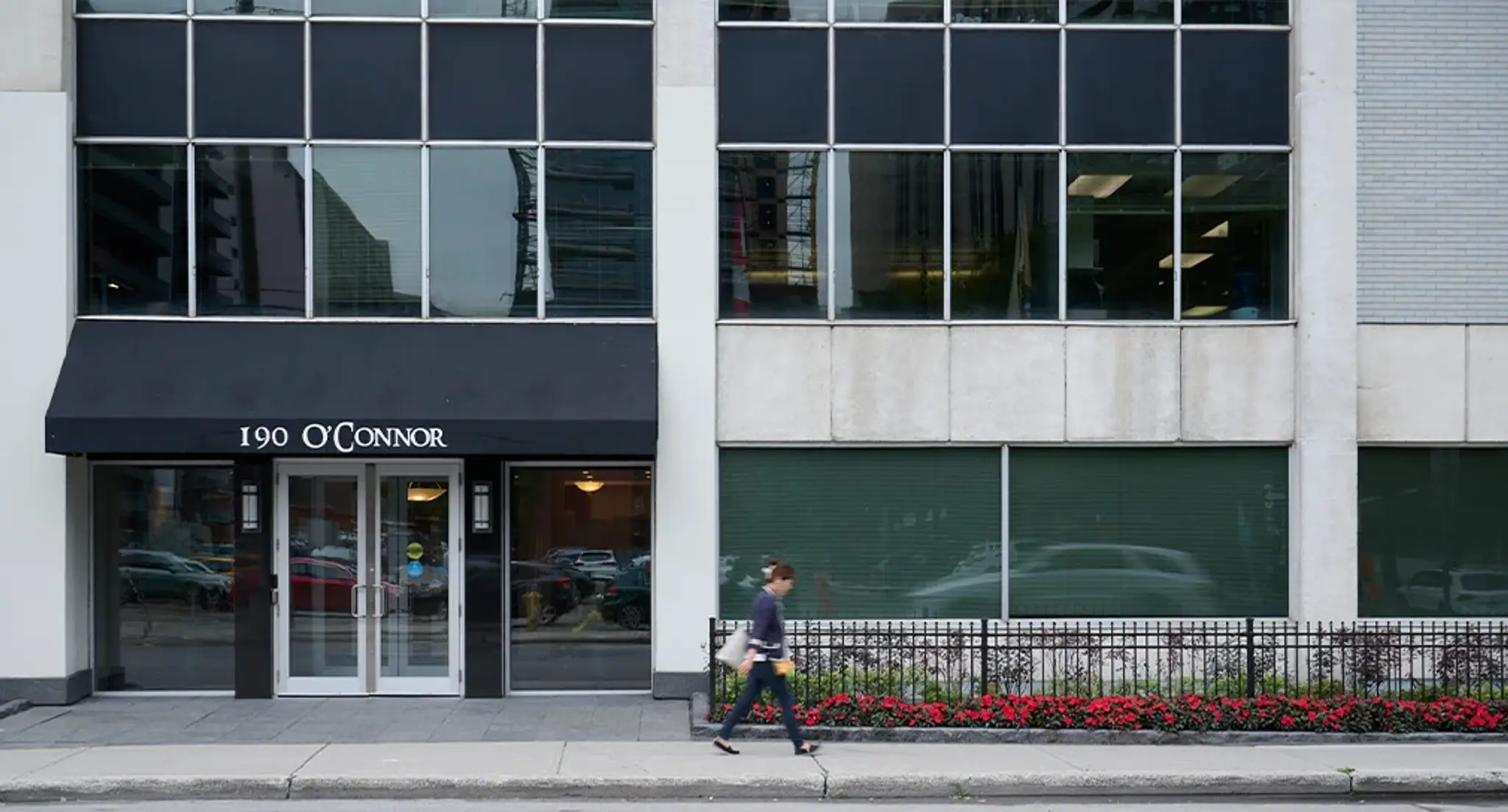 Glenview Management Ltd