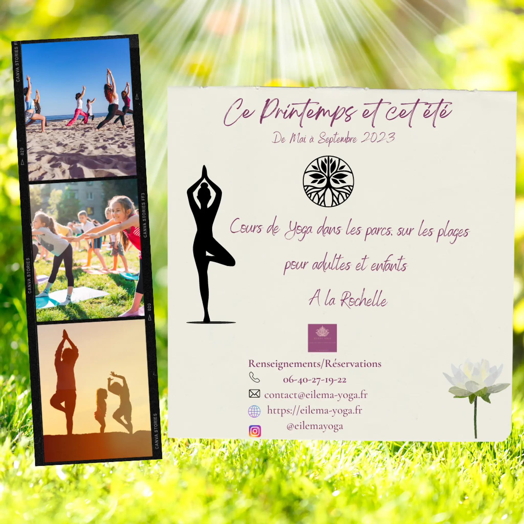 Eilema Yoga