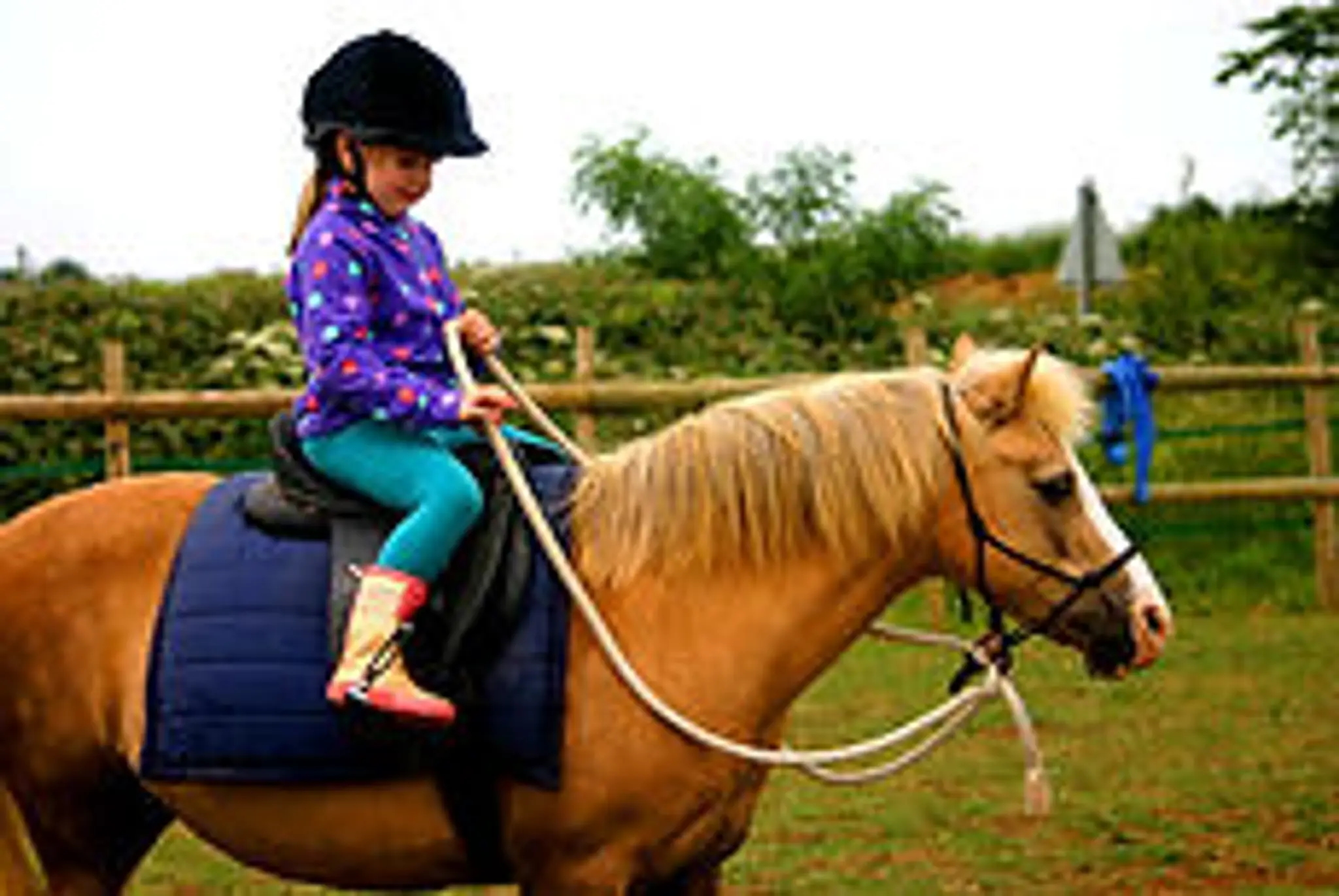 Witney Pony Partners