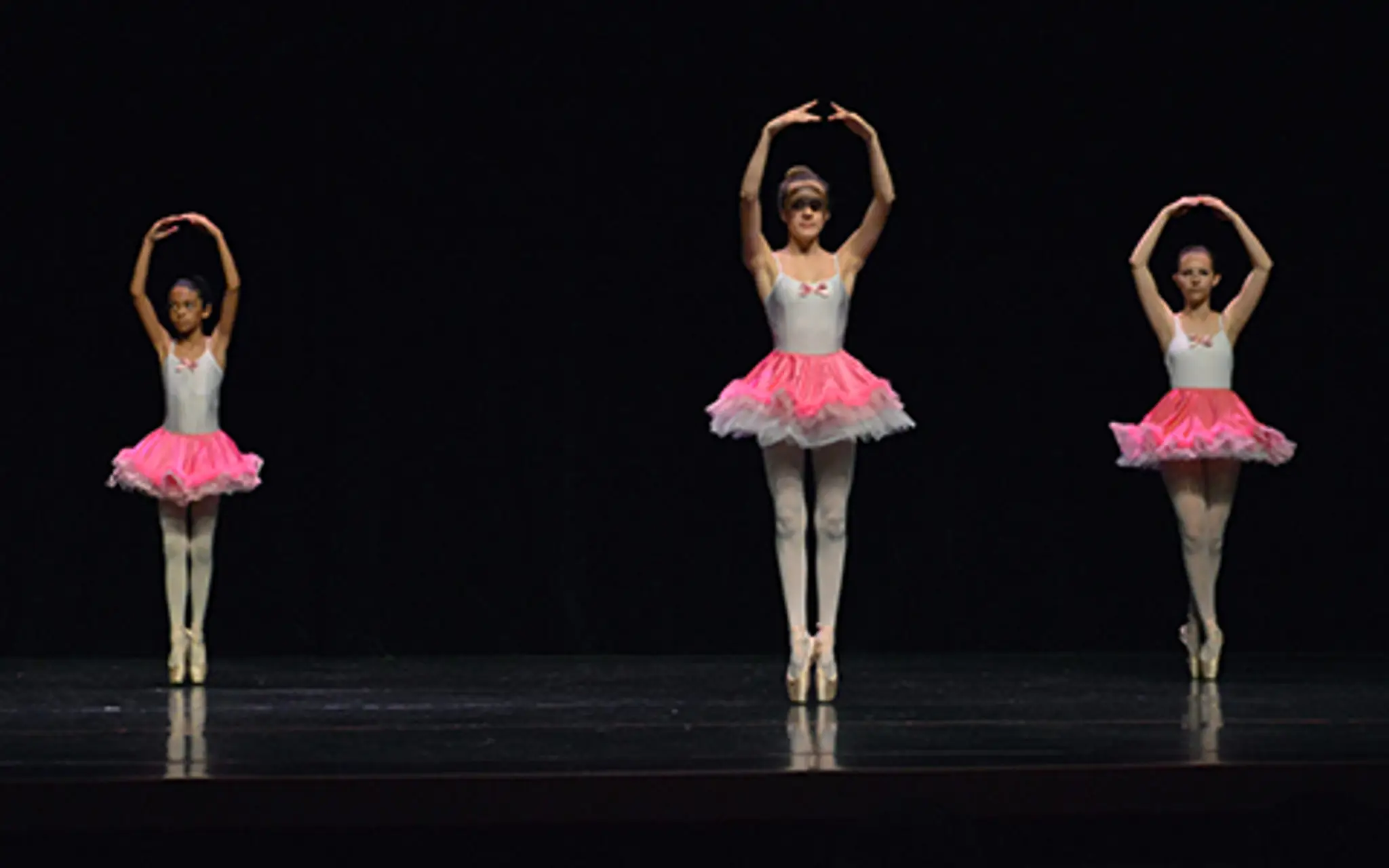 Dance Academy - Art D'une Passion