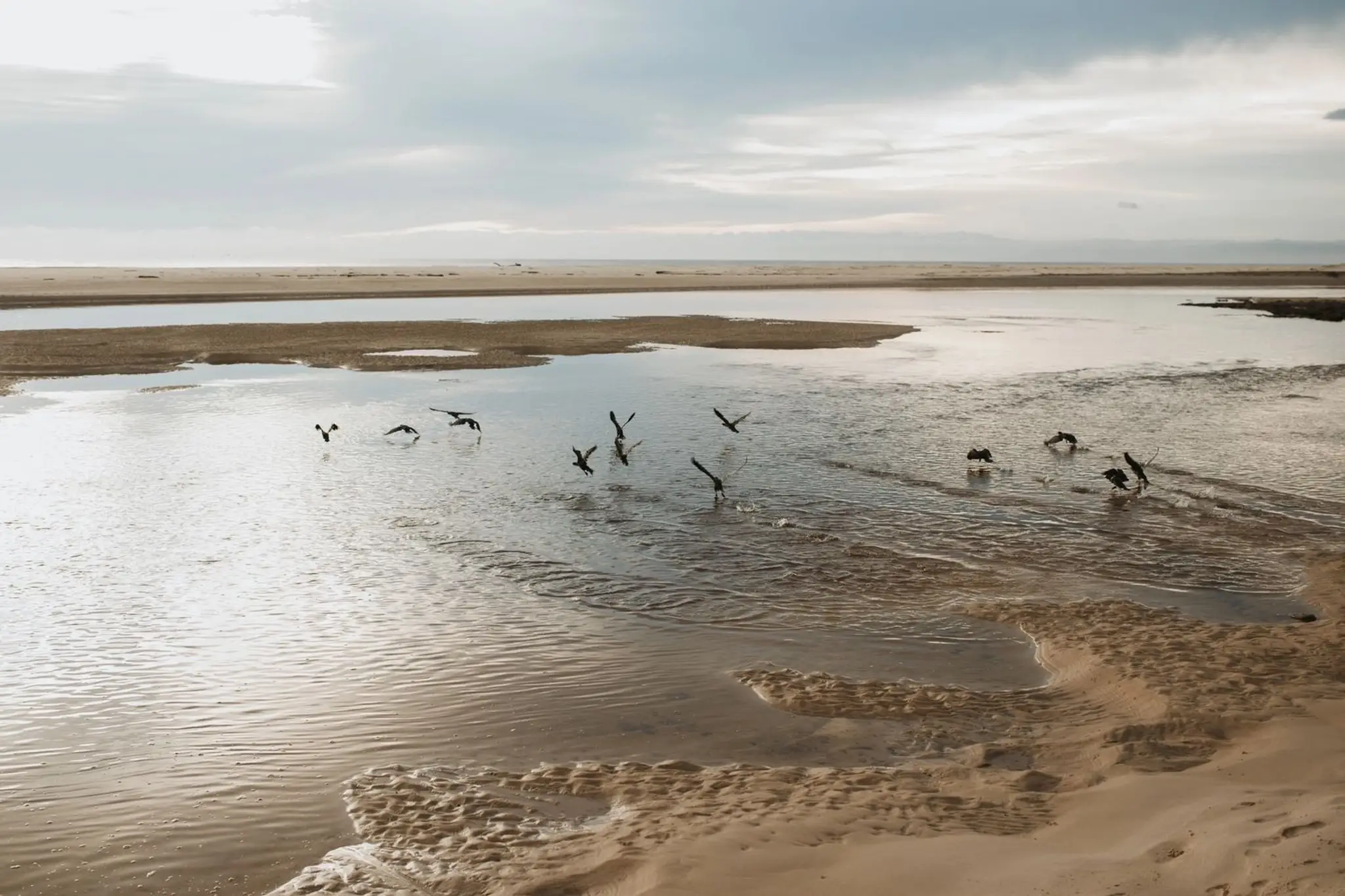 Ubuntu Wellness Psychology