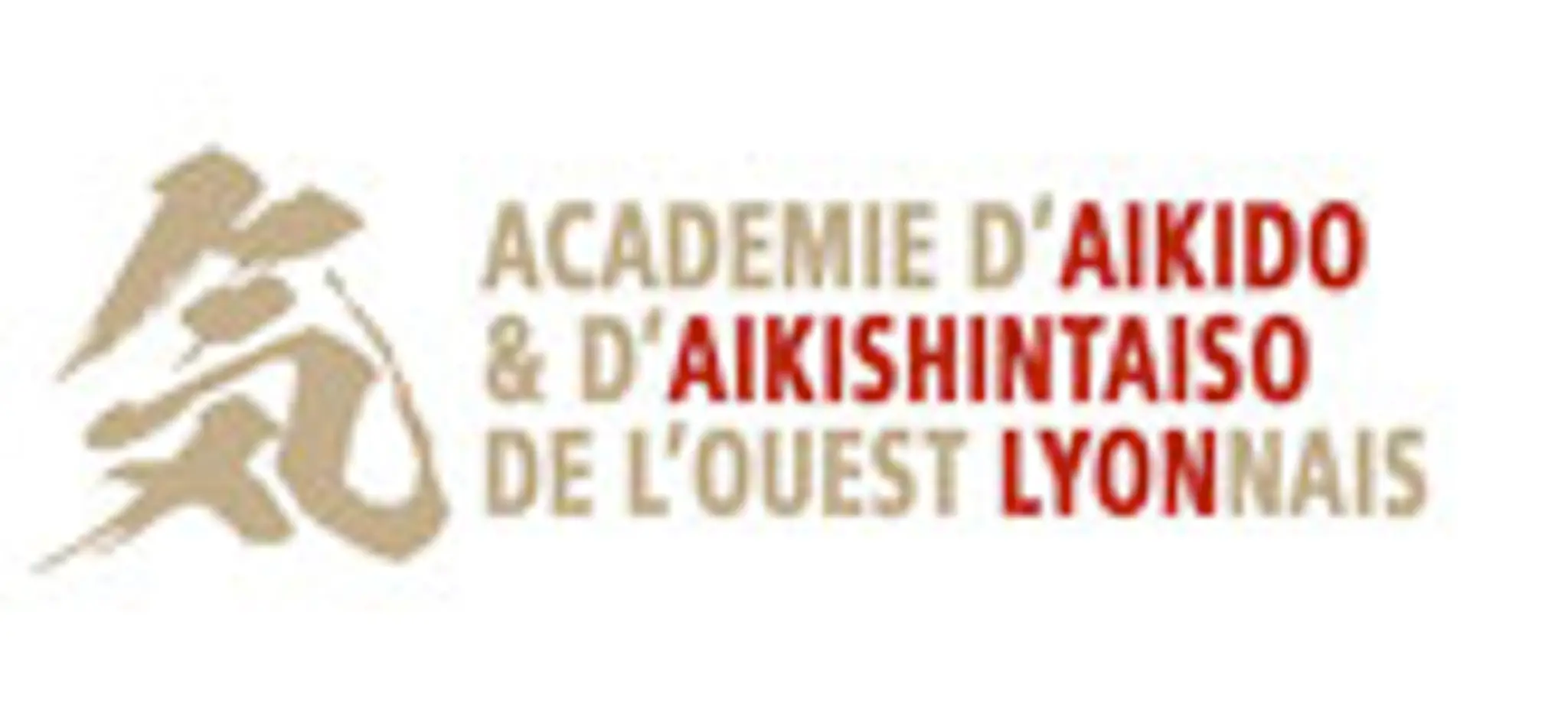 Academy Aikido West Lyon Lyon 9