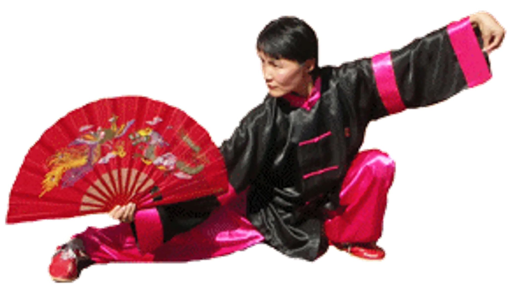 Wuji Tai Chi & Qi Gong