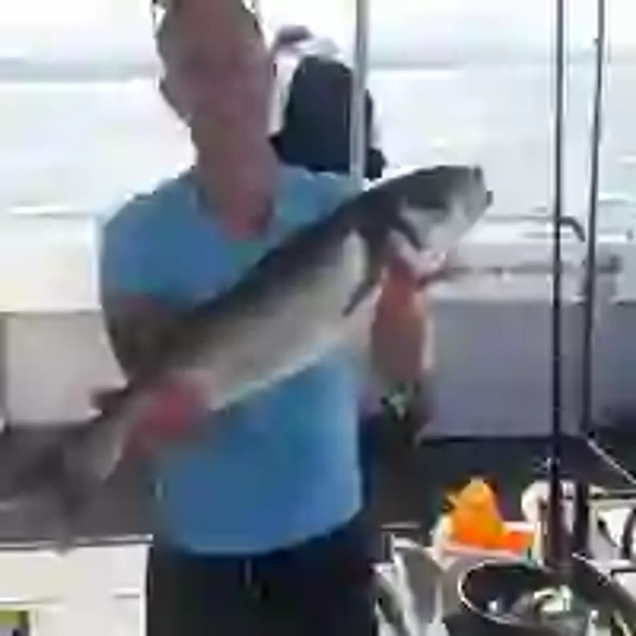 Bluefin Charter Fishing Trips