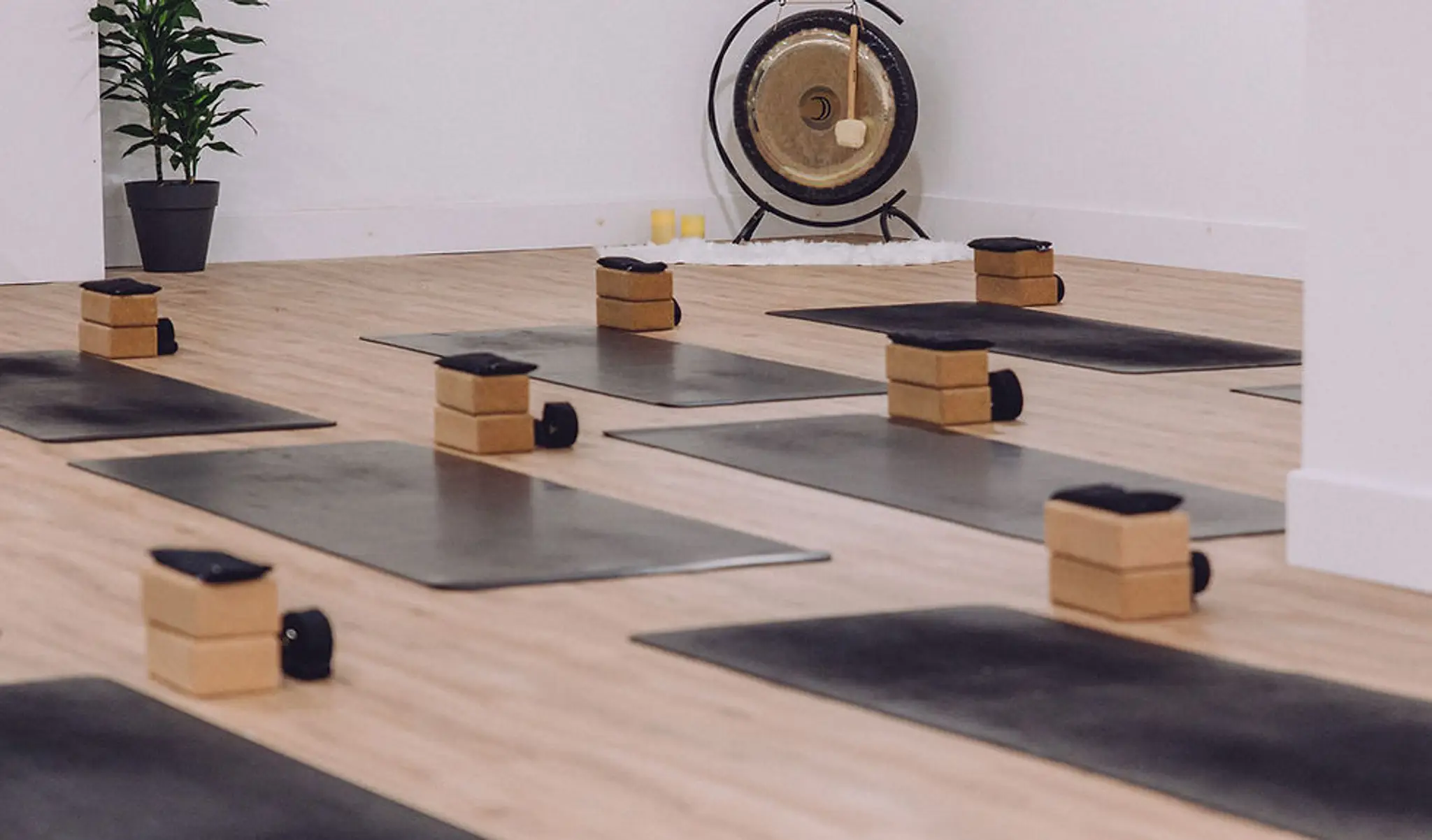 Actively Alive Yoga Studio