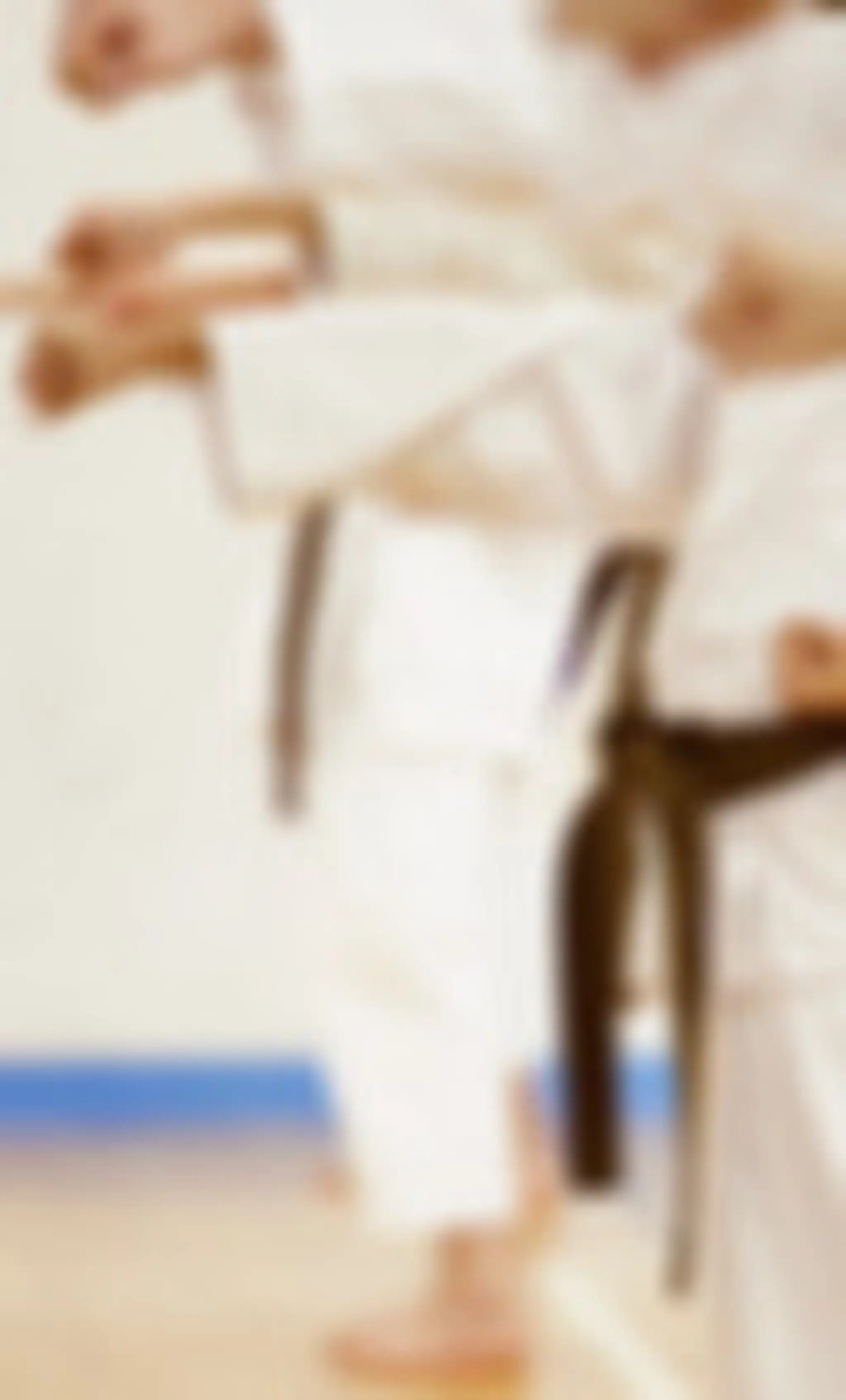 North East Wado Ryu Karate Club