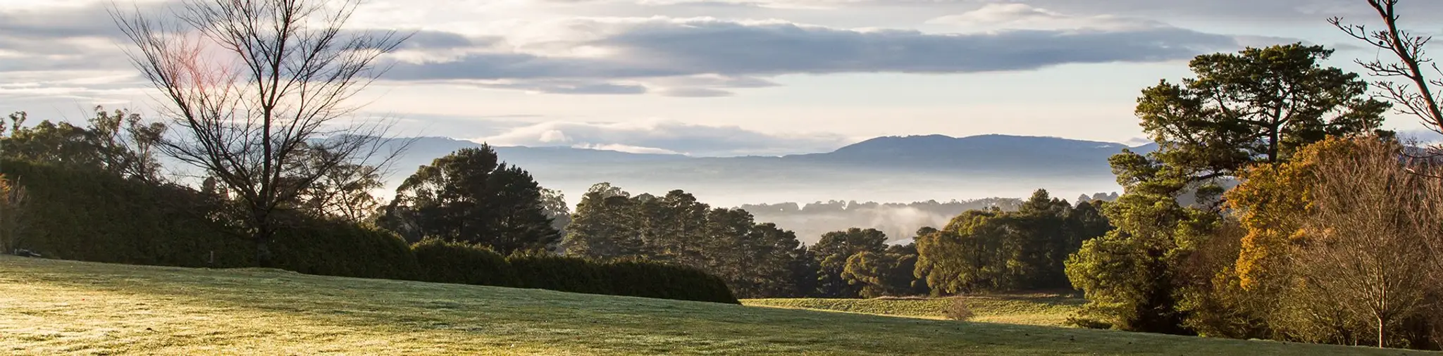 Hills Physiotherapy Rowville