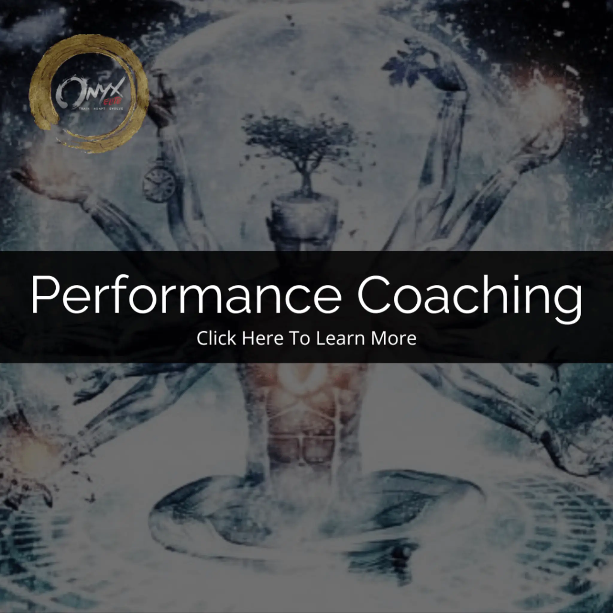 Onyx Elite Performance