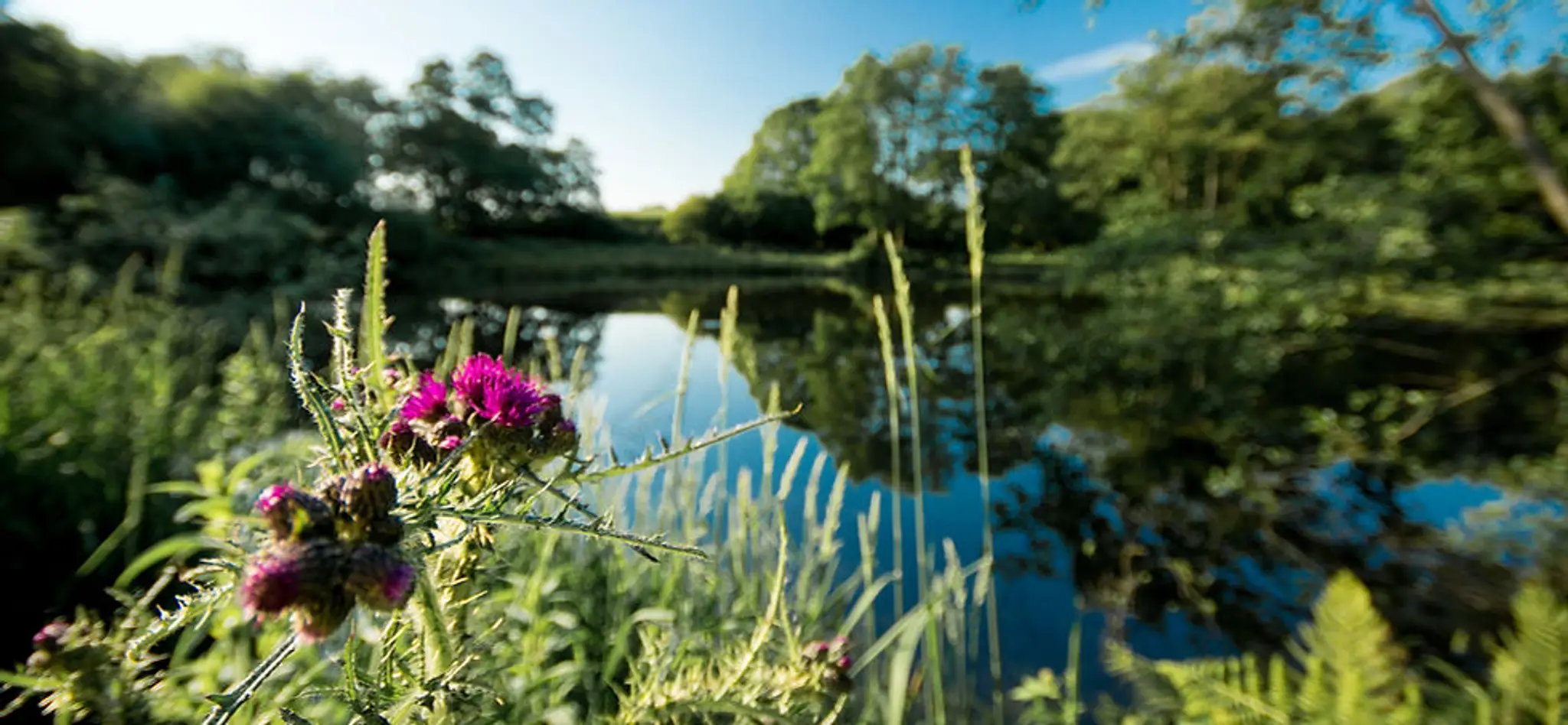 Winsford and District Angling Association