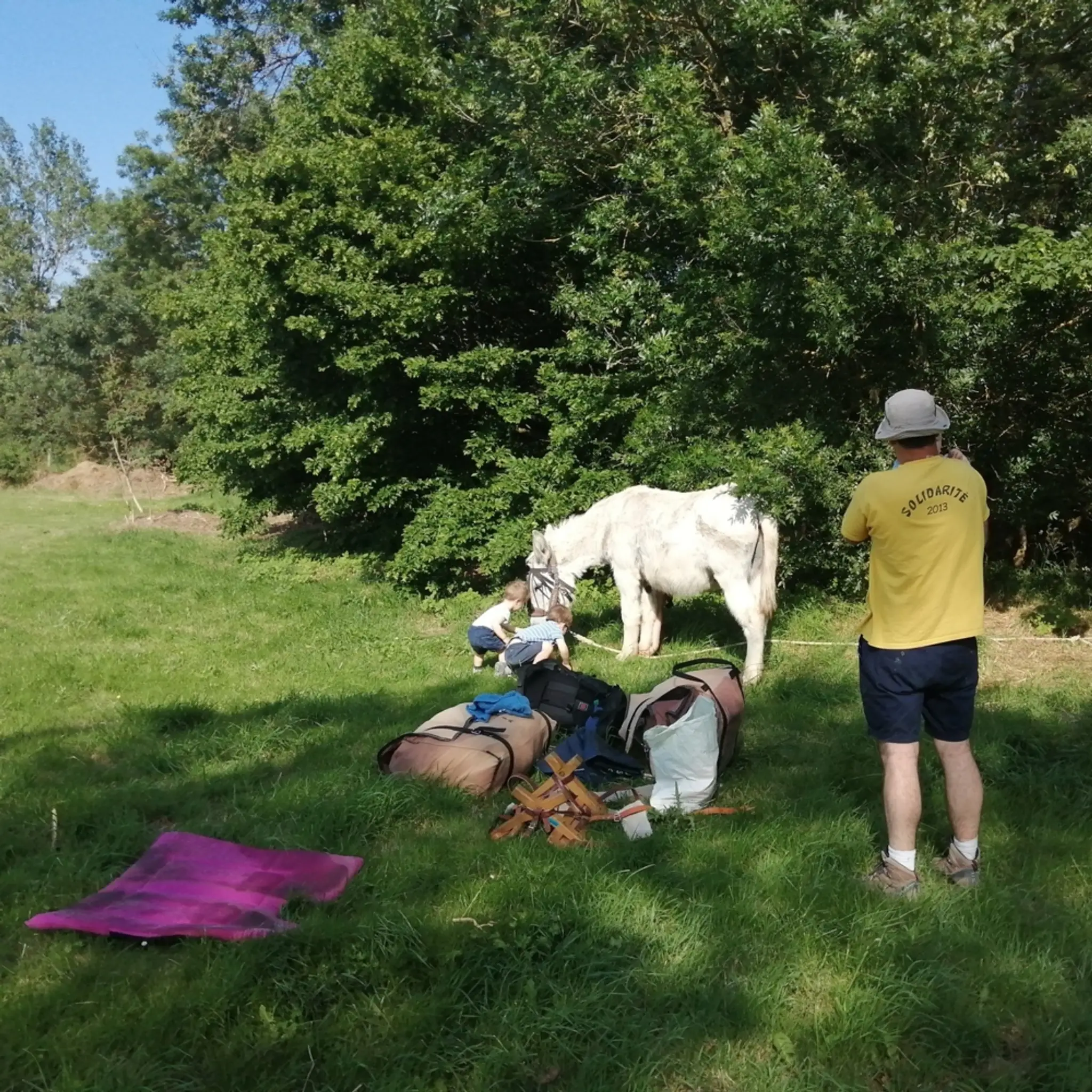 Bonnet d'Âne et Cerf Volant