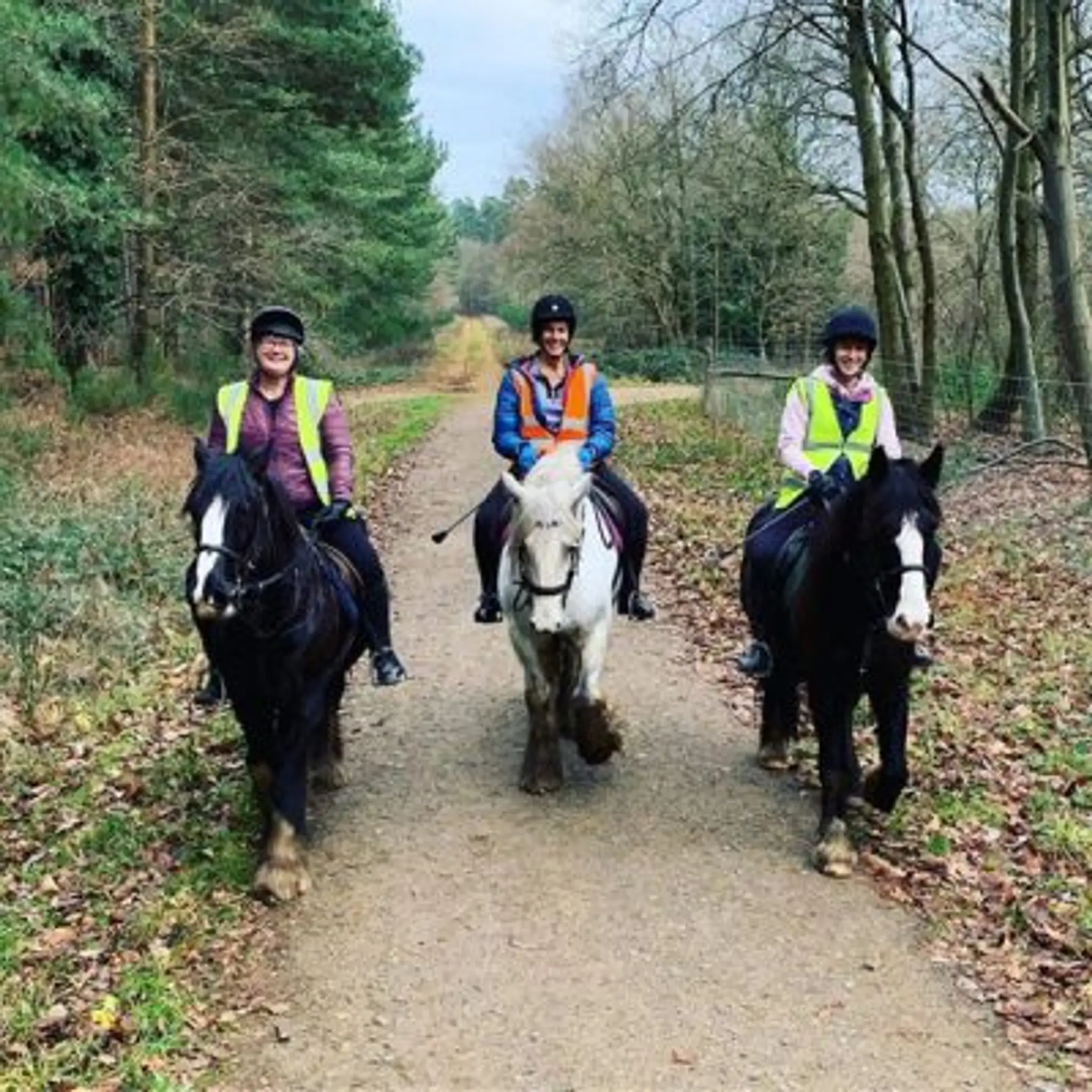 Hot To Trot School Of Equitation