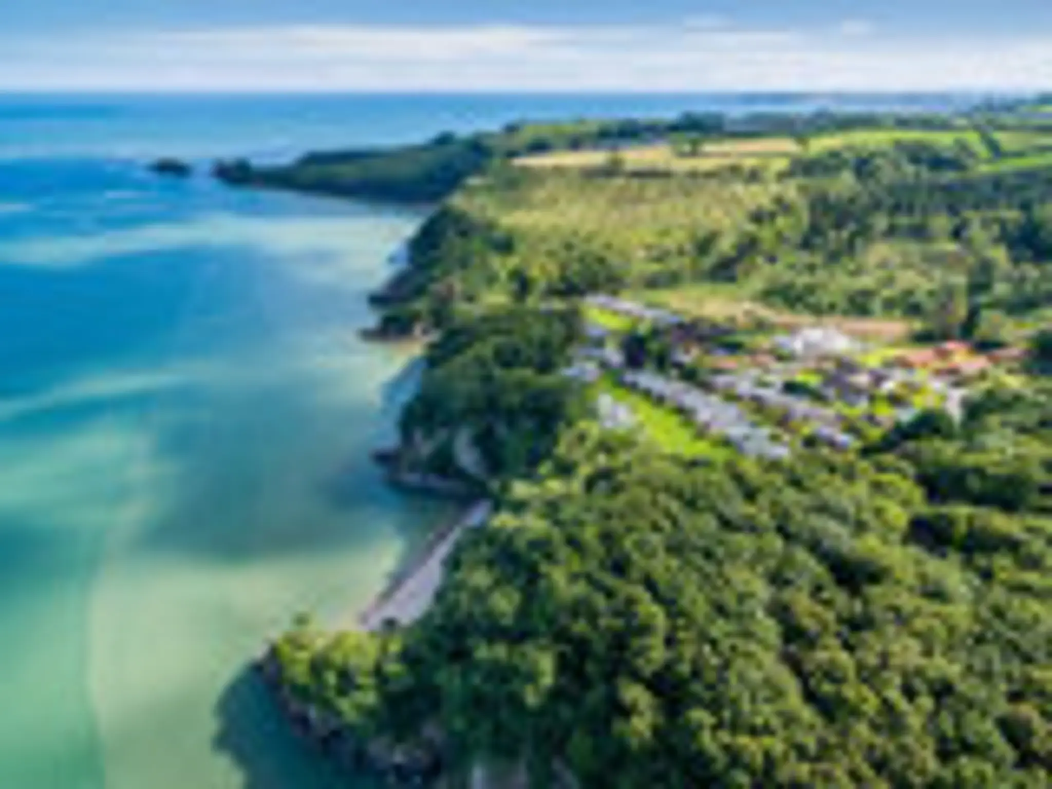 Swallow Tree Gardens