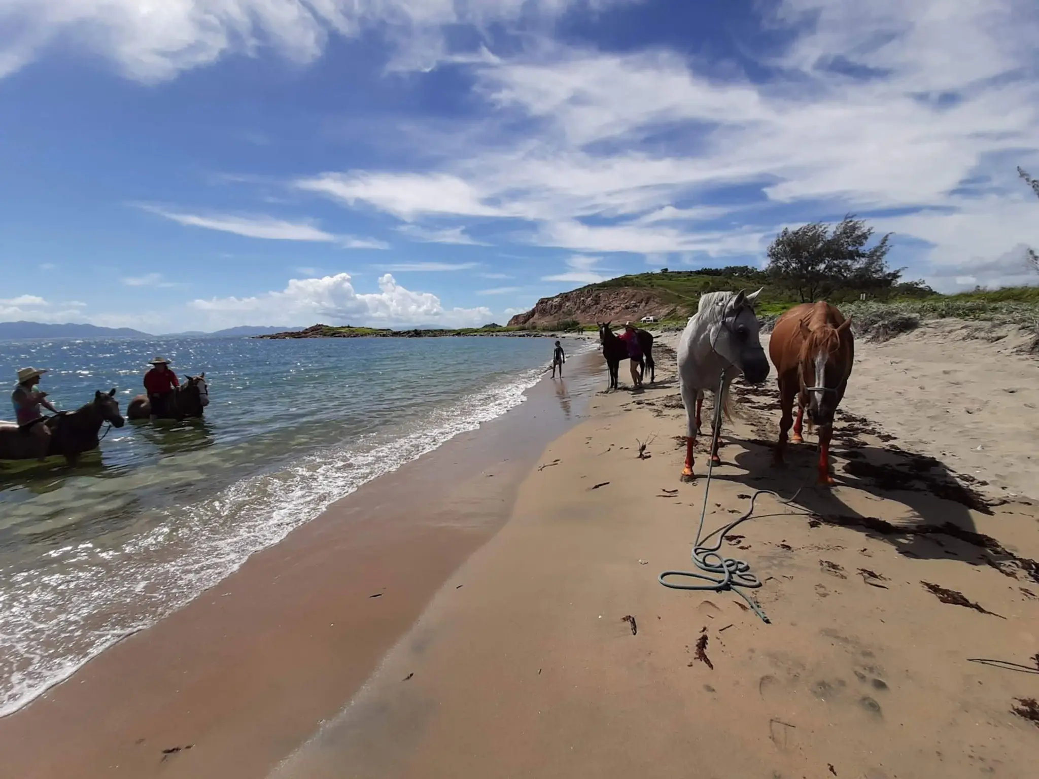 Silver Creek Horsemanship