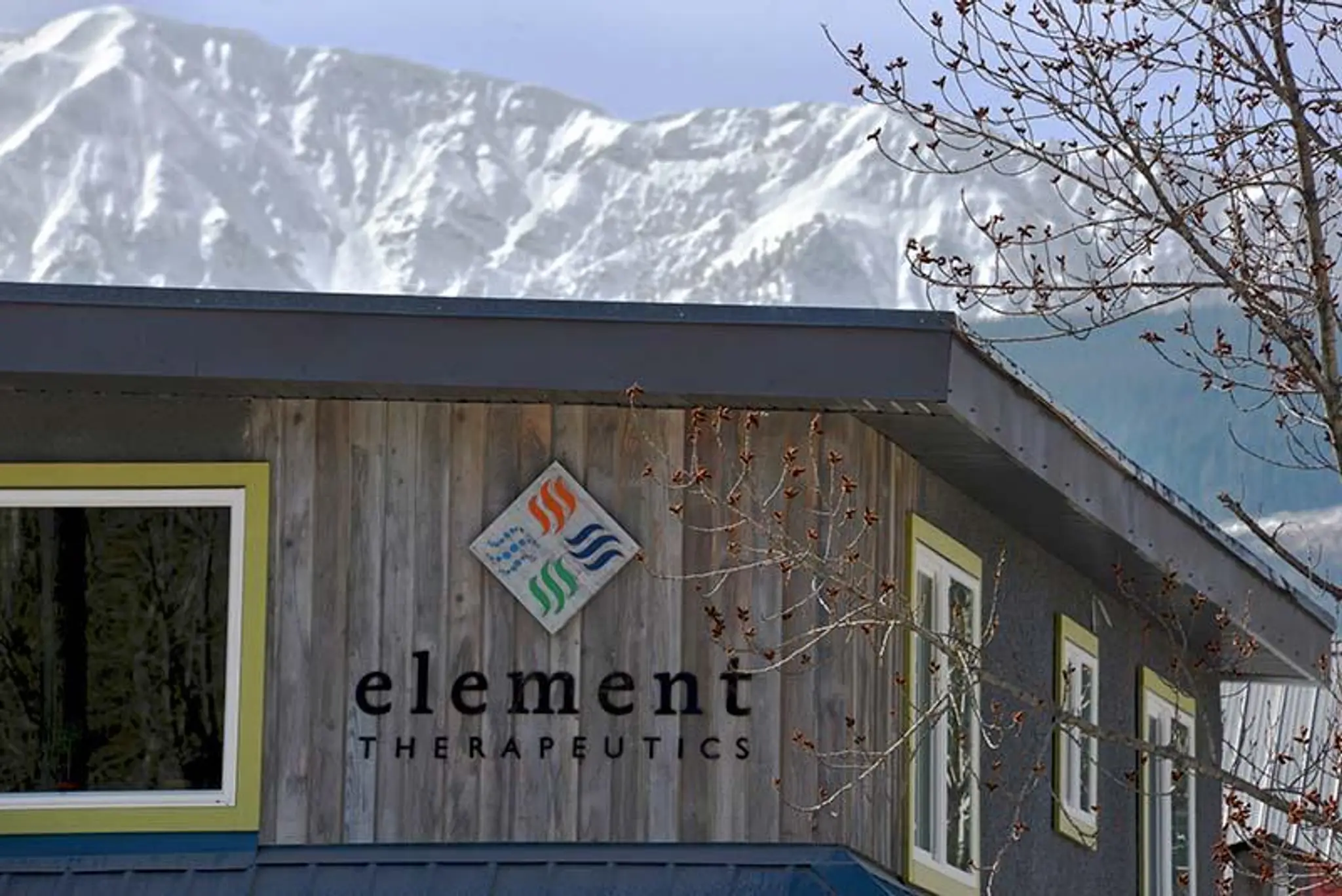 Element Therapeutics